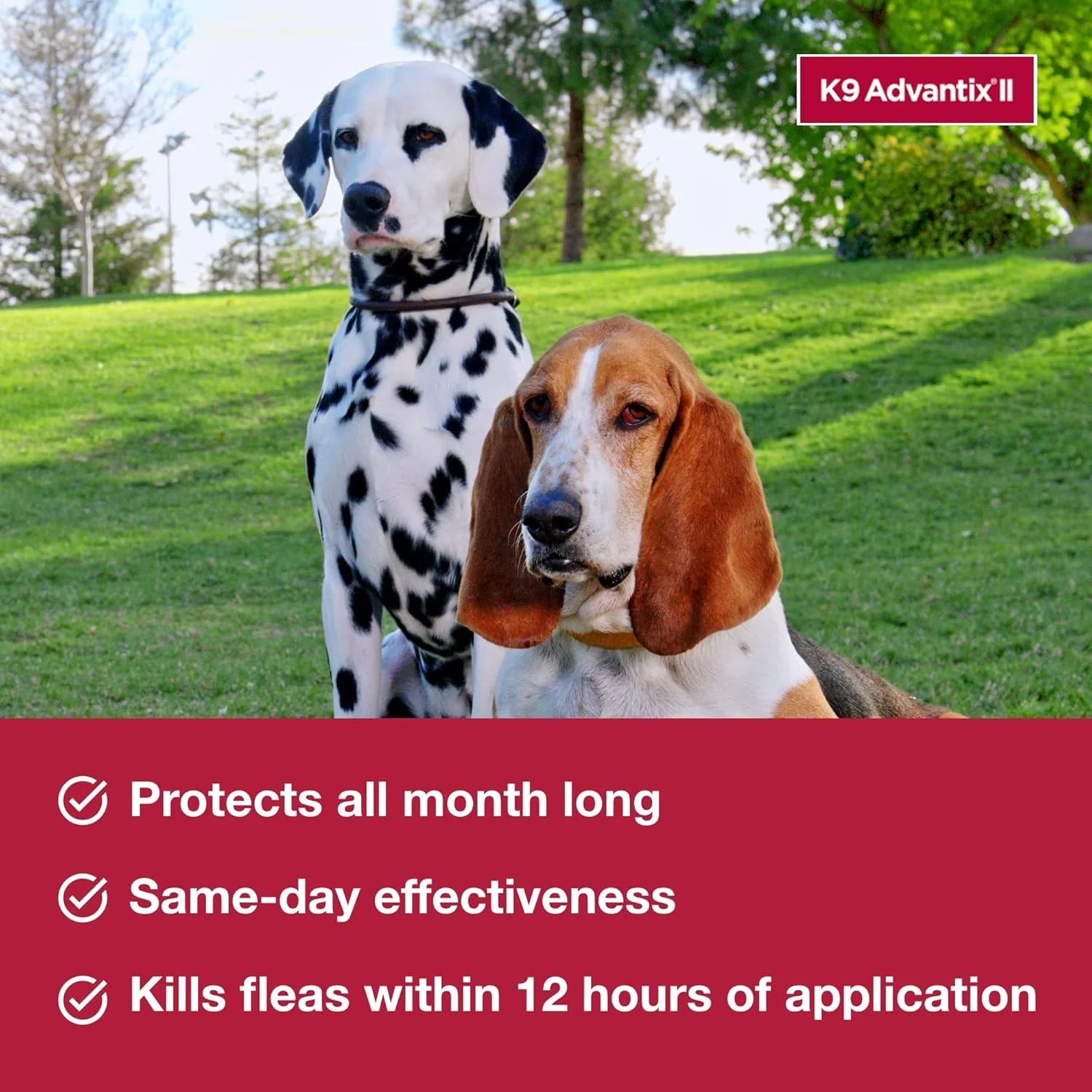 Elanco K9 Advantix II Dog Vet-Recommended Flea, Tick & Mosquito Treatment & Prevention | 4-Mo Supply - Image 4