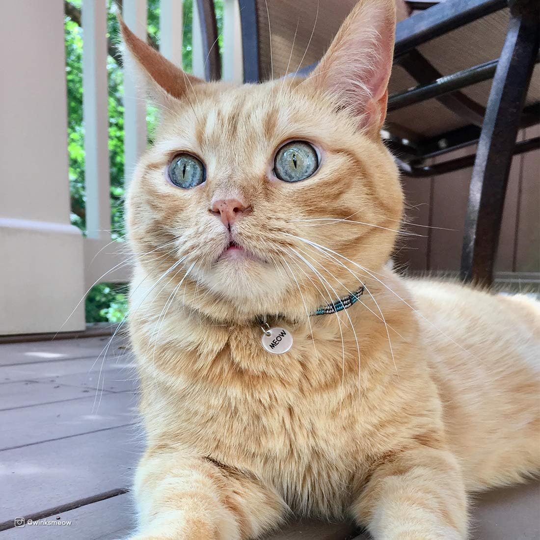 Elasta Cat® Reflective Safety Stretch Collar - Image 2