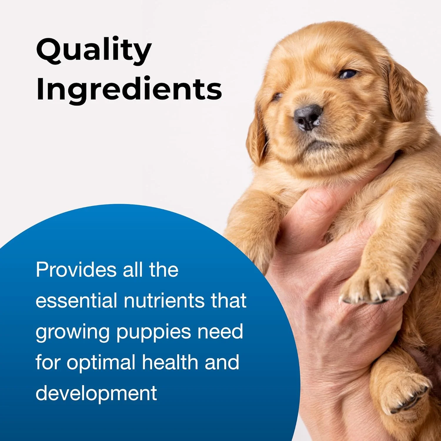 Esbilac Pet-Ag Goat’s Milk Esbilac Powder - Powdered Puppy Formula with Prebiotics, Probiotics & Vitamins for Puppies Newborn to Six Weeks... - Image 4