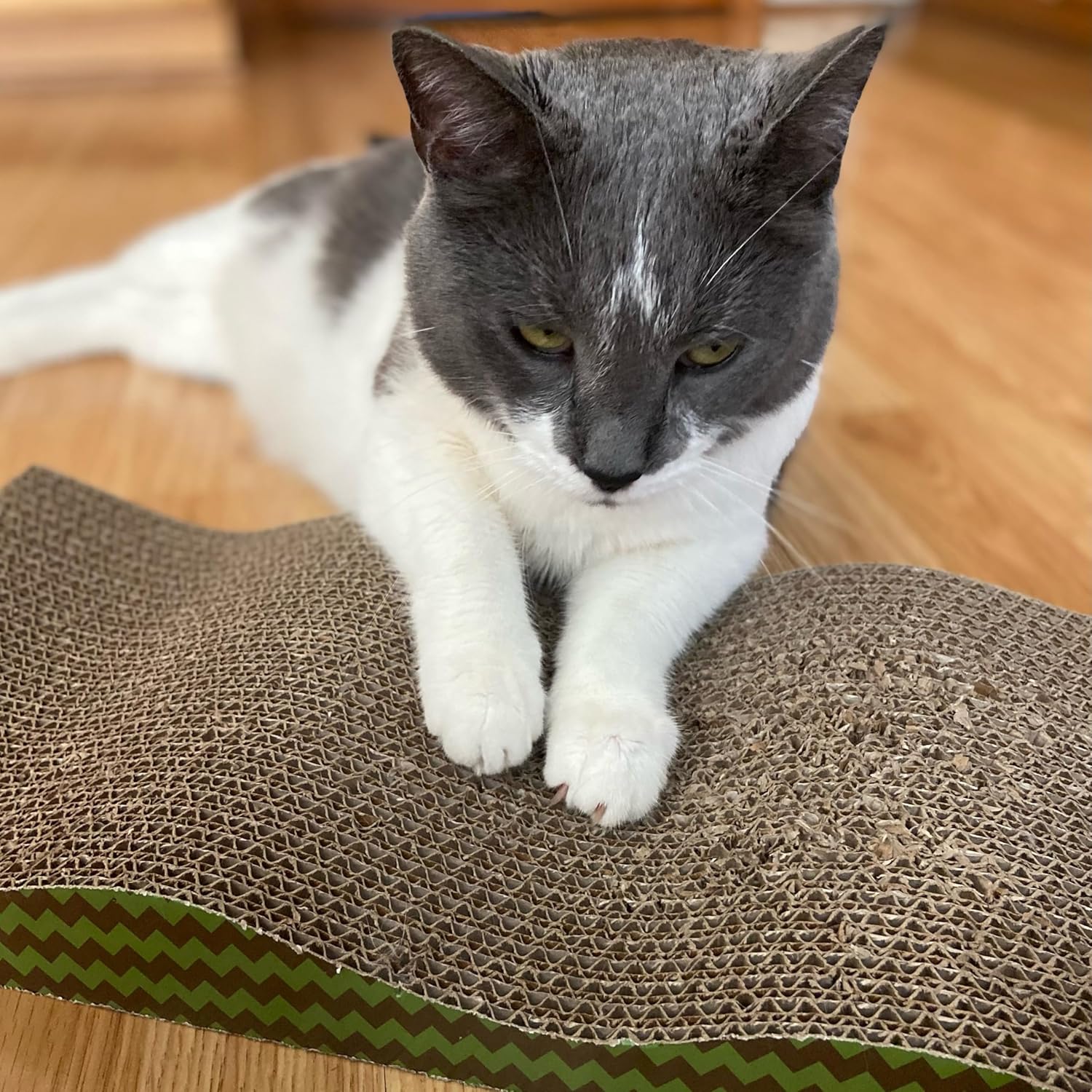 SPOT Wave Cat Scratcher - Corrugated Scratching Board with Wavy Design, Made from 100% Eco-Friendly & Recyclable Cardboard, Encourages Good Scratching Behavior - 17" Board with Catnip Pouch Included - Image 3