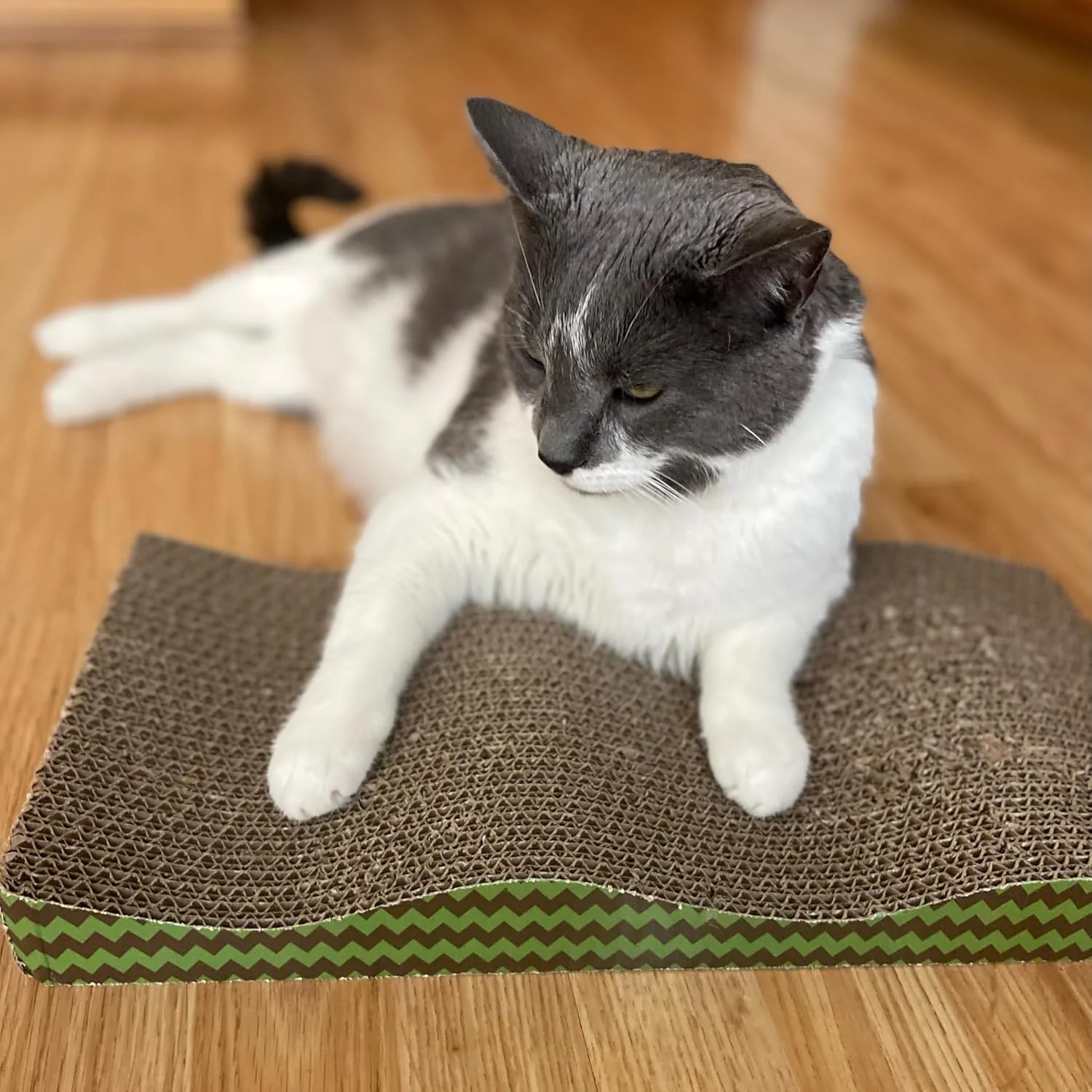 SPOT Wave Cat Scratcher - Corrugated Scratching Board with Wavy Design, Made from 100% Eco-Friendly & Recyclable Cardboard, Encourages Good Scratching Behavior - 17" Board with Catnip Pouch Included - Image 5