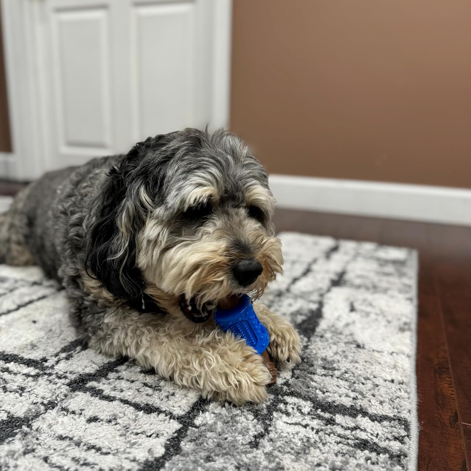 SPOT Bam-Bones Plus Dental Chew Bone - Bamboo Fiber & Nylon with a Massaging Rubber Center, Durable Long Lasting Oral Care Dog Chew for Aggressive Chewers & Teething Puppies, 6.5in, Bacon Flavor - Image 7