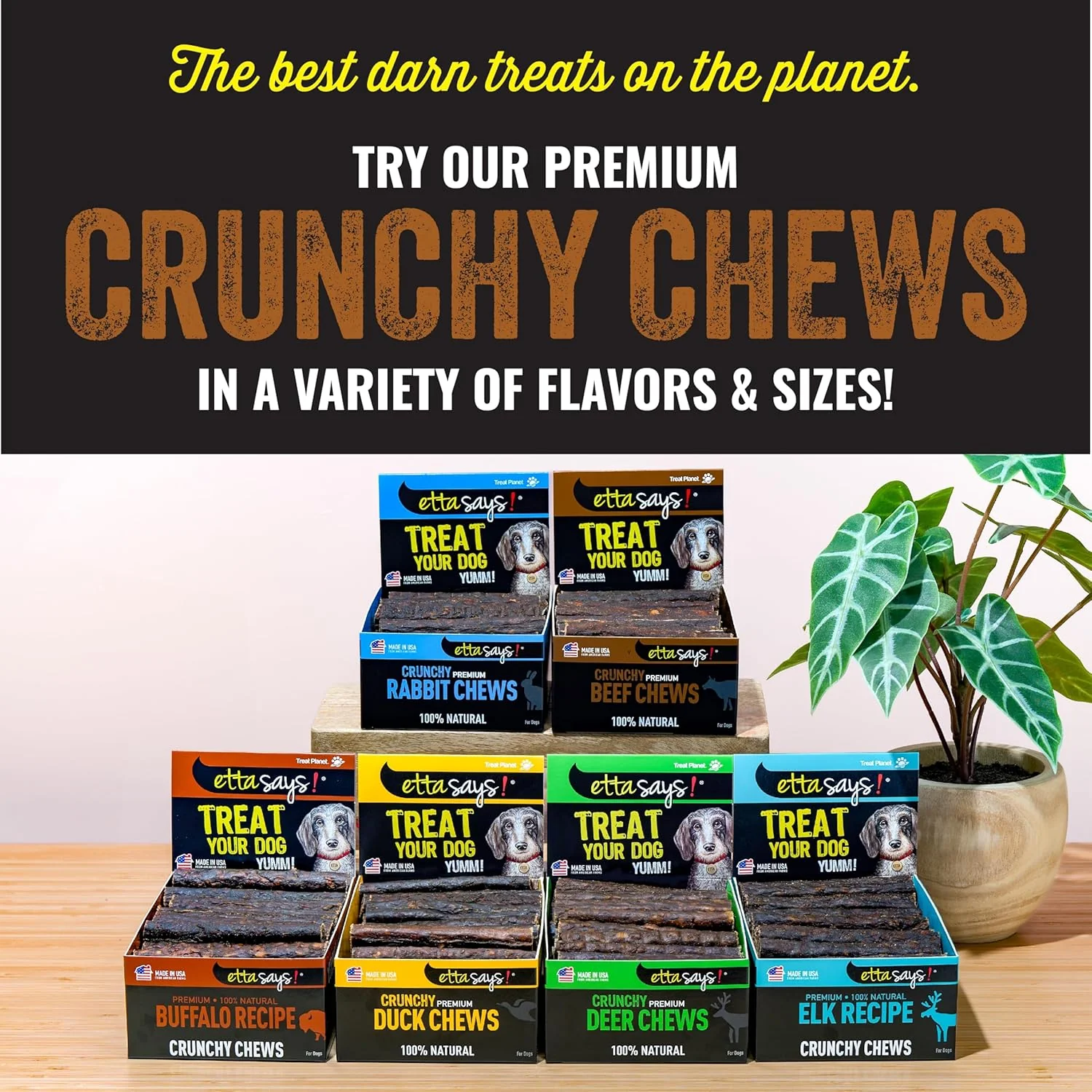 etta says! Premium Crunchy 4.5" Beef Dog Chews - Grain-Free Dog Treats, Good for Teeth, Easy to Digest - Made in The USA (36 Count Pack of 1) - Image 7