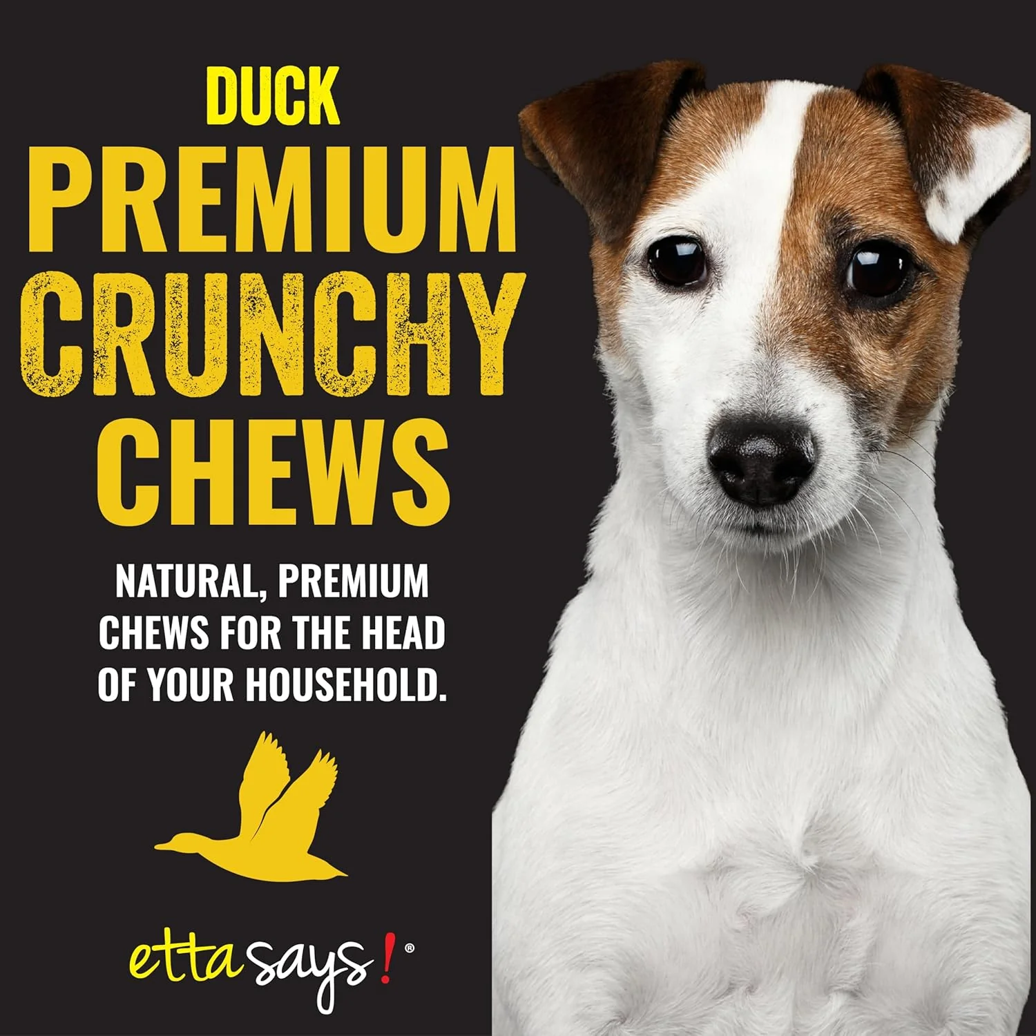 Etta Says! Premium Crunchy Duck Dog Chews - Grain-Free Dog Treats, Good for Teeth, Easy to Digest - Made in The USA - Image 2