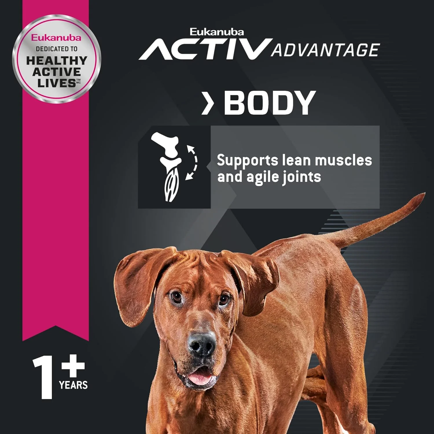 Eukanuba Adult Large Breed Lamb 1st Ingredient Dry Dog Food, 30 lb Bag - Image 4