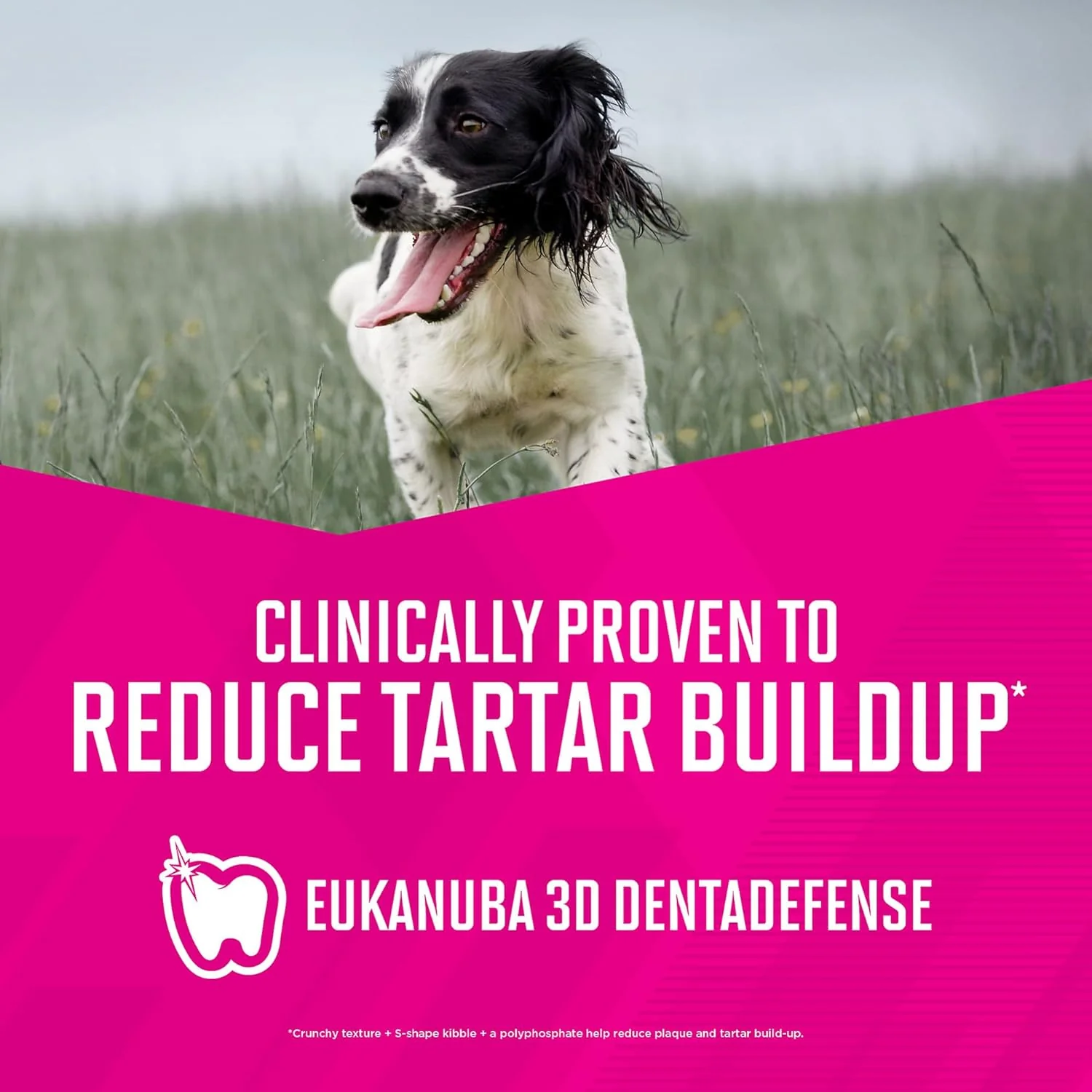 Eukanuba Adult Large Breed Lamb 1st Ingredient Dry Dog Food, 30 lb Bag - Image 9