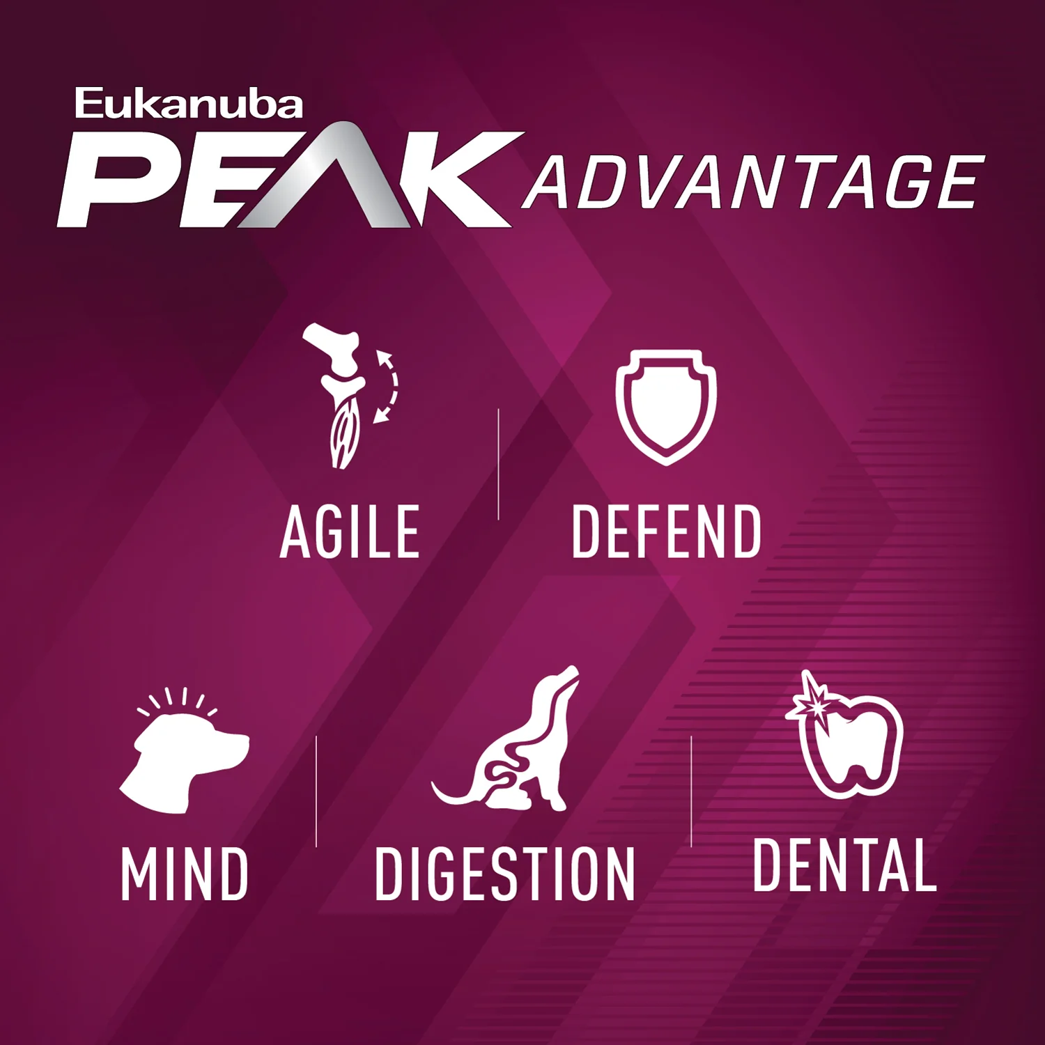 Eukanuba Premium Performance 21/13 Sprint Dry Dog Food, 28 lb Bag - Image 6