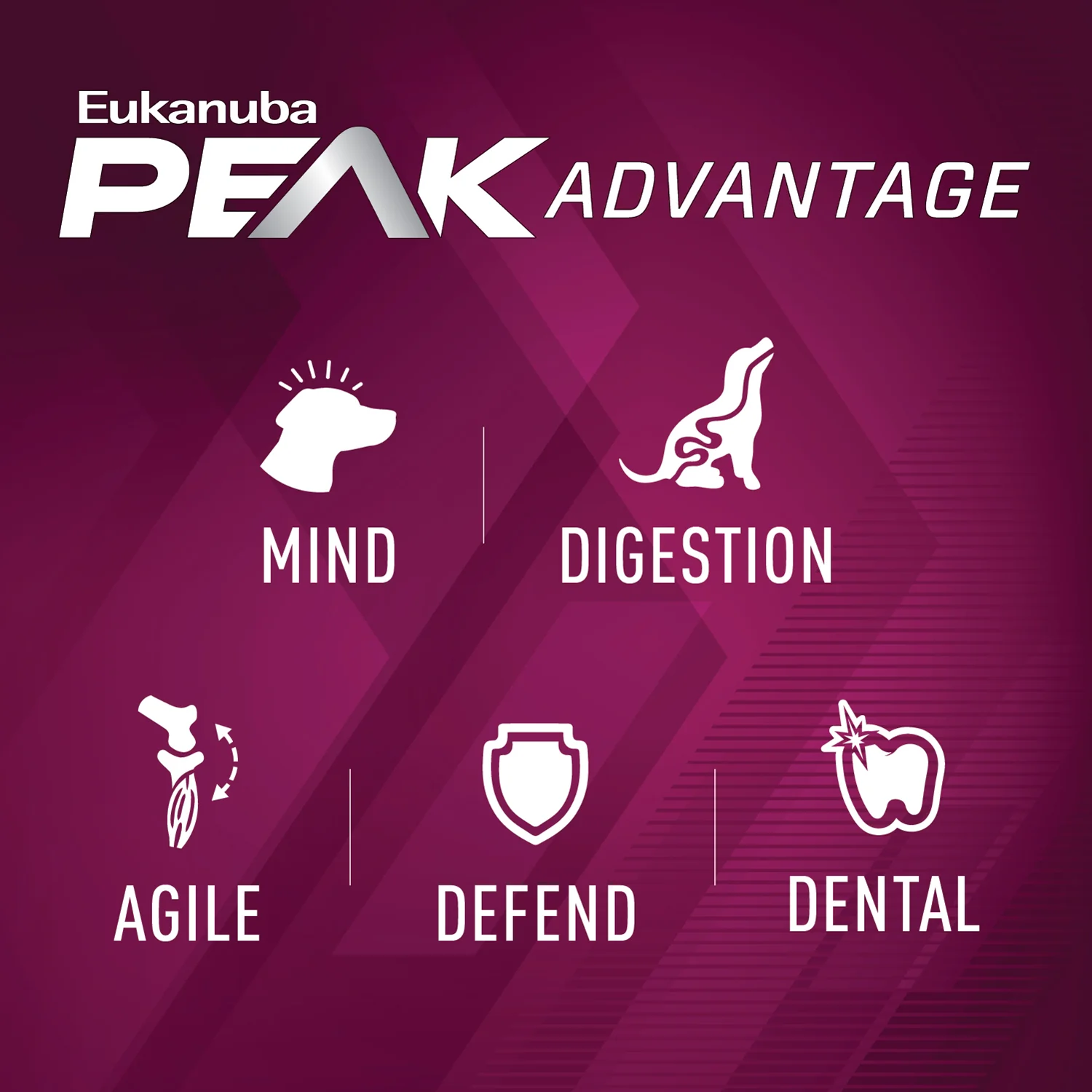 Eukanuba Premium Performance 30/20 Sport Dry Dog Food - Image 4