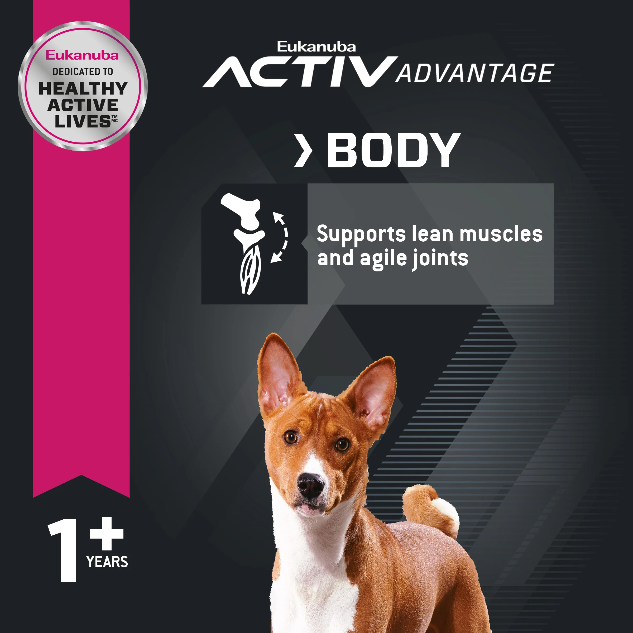 Eukanuba Adult Small Bites Dry Dog Food - Image 4