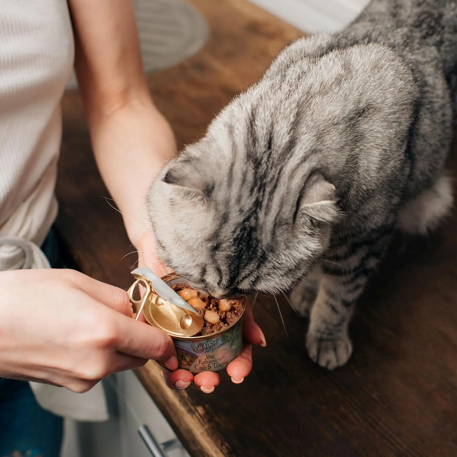 Evanger's Organics Turkey & Butternut Squash Dinner for Cats 24pk/5.5 oz - Image 5