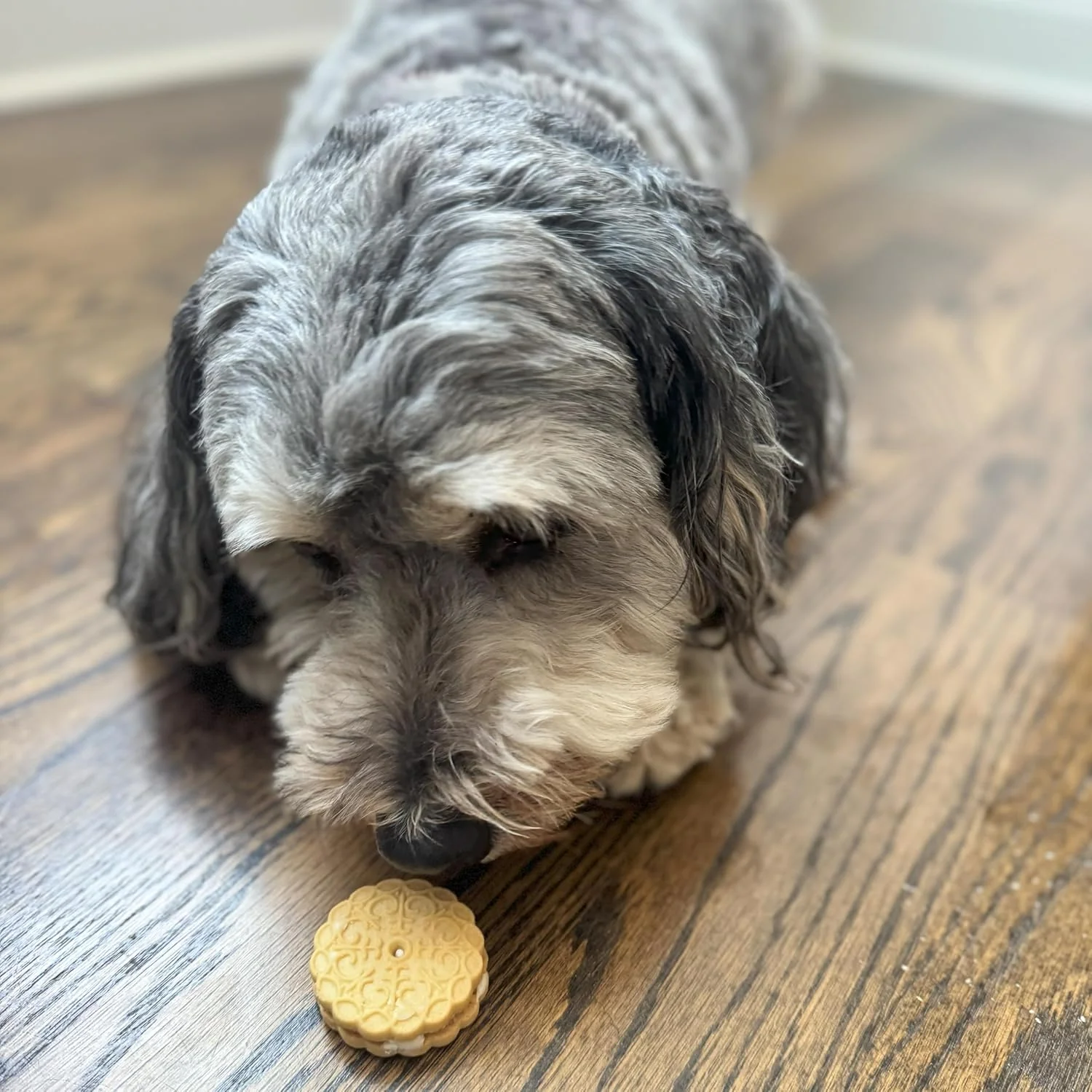 Exclusively Dog Cookies Sandwich Cremes S'Mores Flavor Dog Treats for Medium and Large Dogs, Natural and Made in The USA, 8 oz - Image 3
