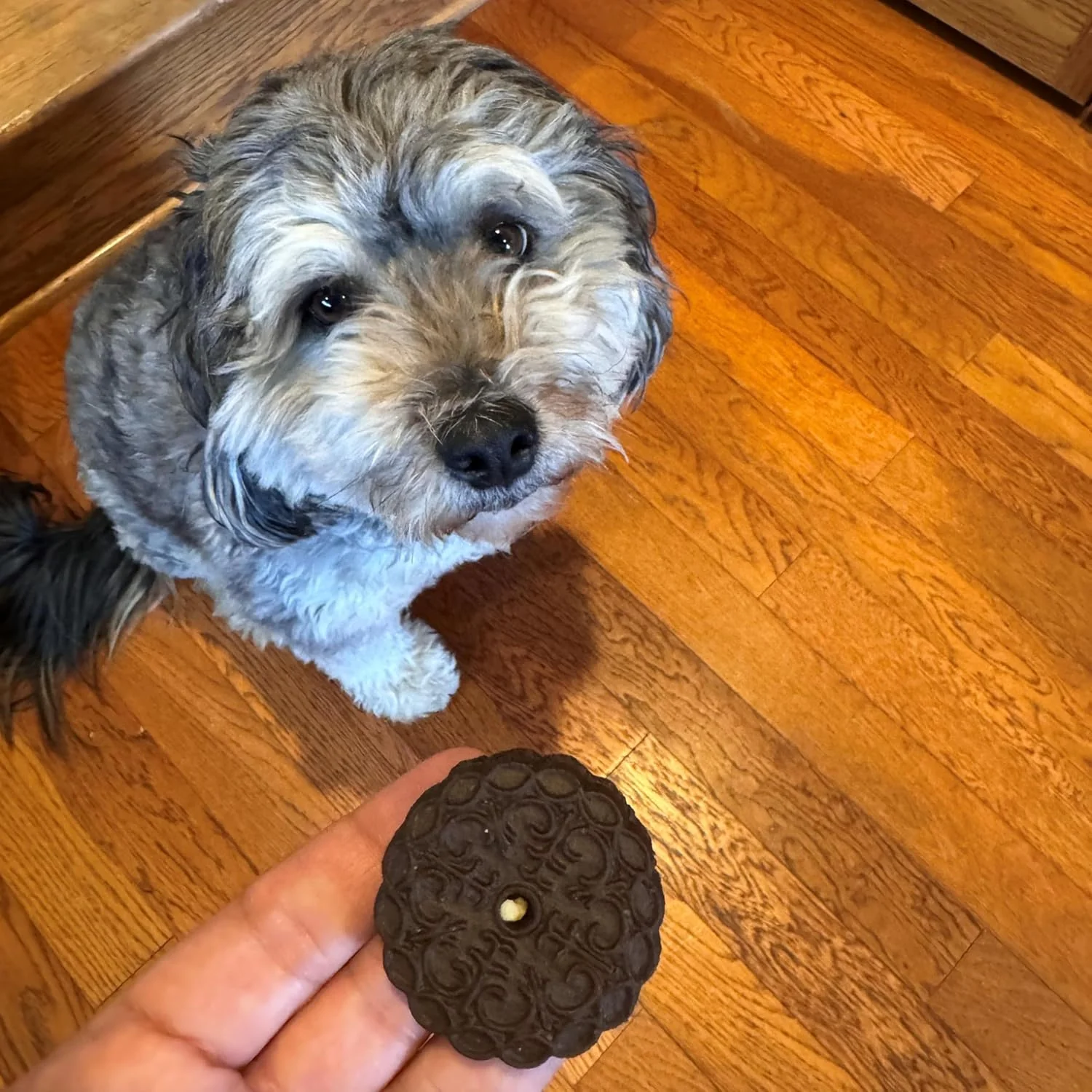 Exclusively Dog Cookies Sandwich Cremes S'Mores Flavor Dog Treats for Medium and Large Dogs, Natural and Made in The USA, 8 oz - Image 4