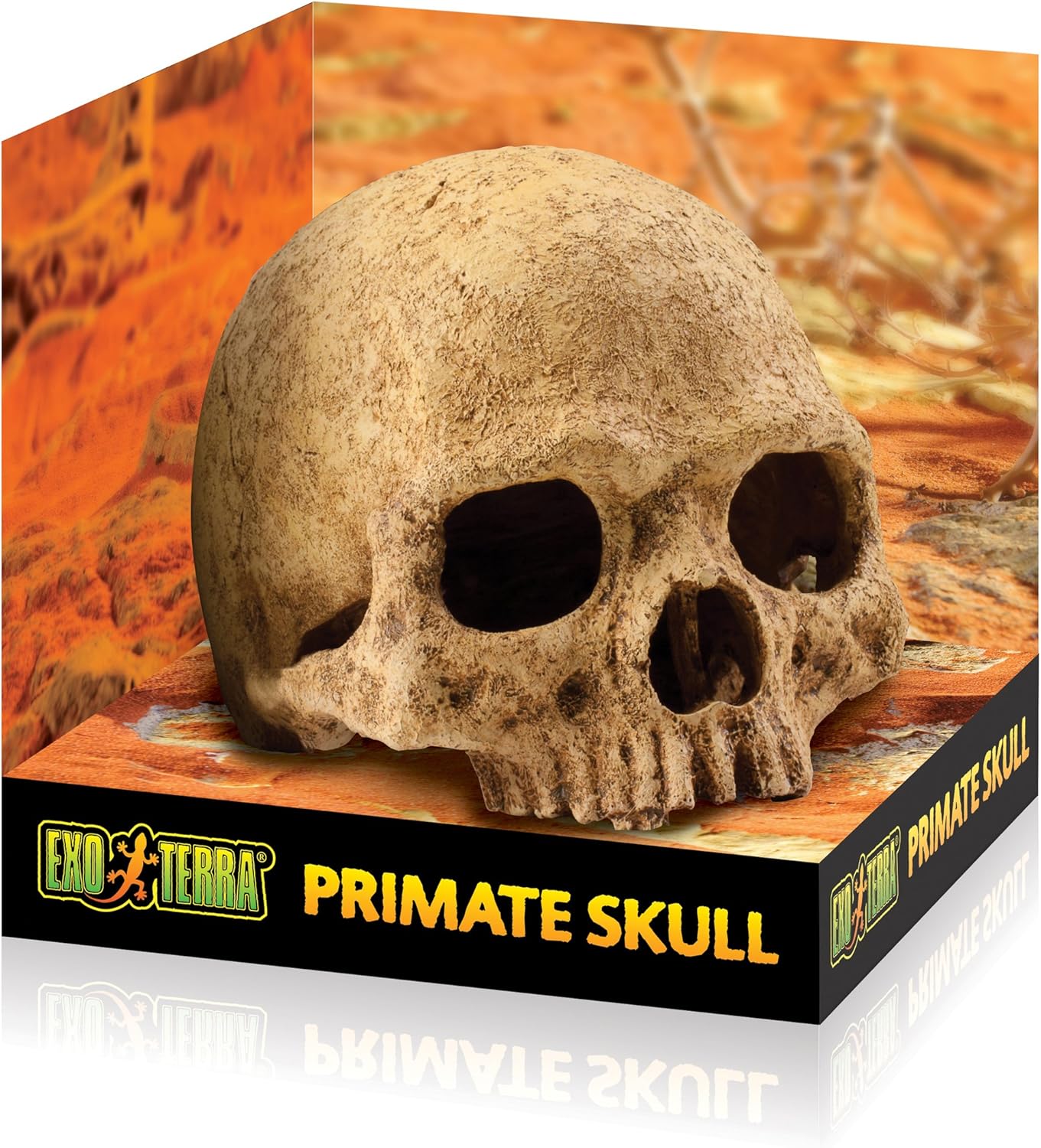 Exo Terra Primate Skull Terrarium D - Image 3