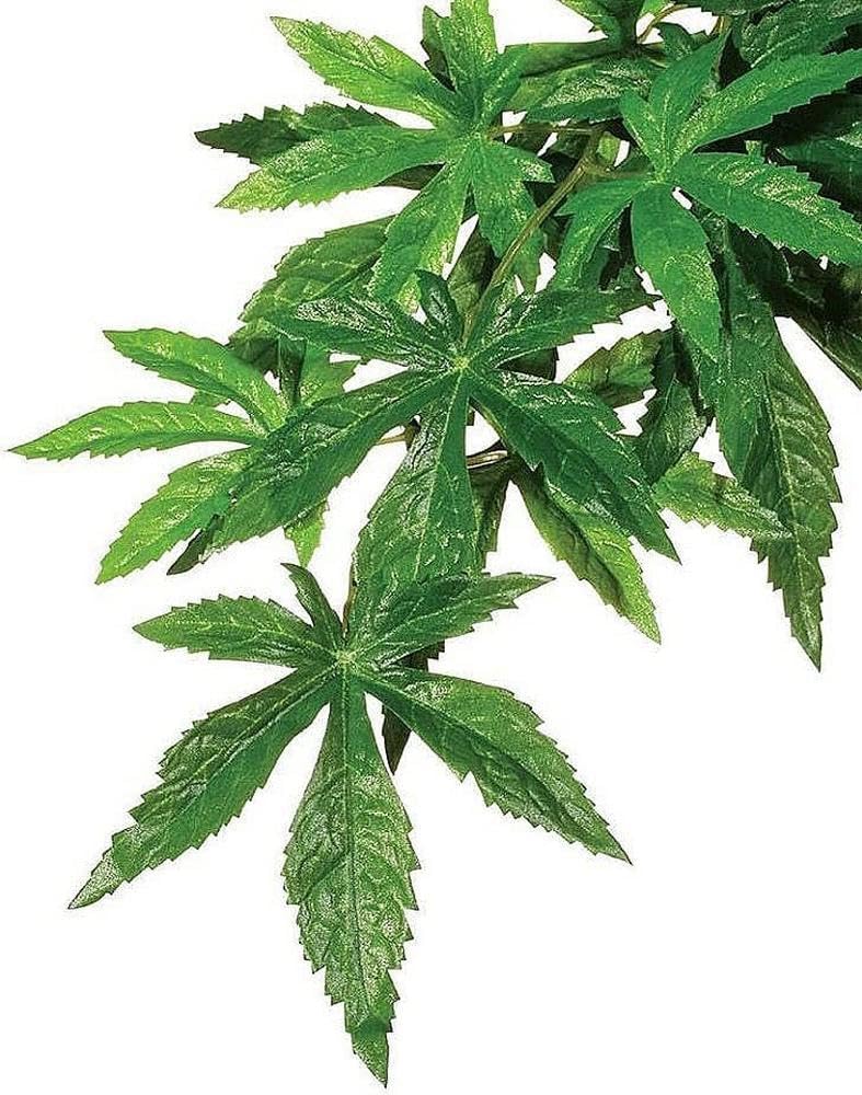 Exo Terra Silk Terrarium Plant, Medium, Abutilon - Image 2