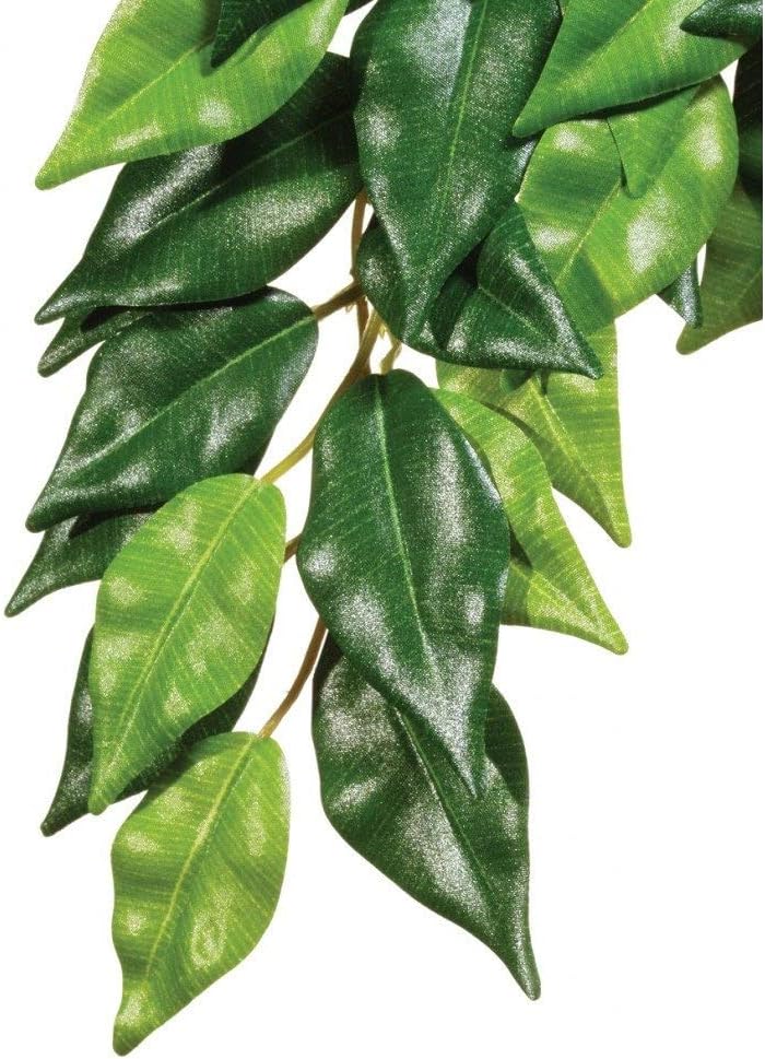 Exo Terra Silk Terrarium Plant, Medium, Ficus - Image 2
