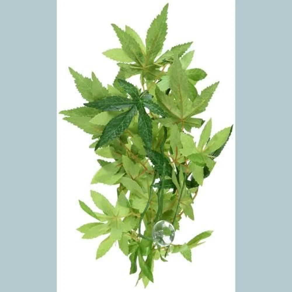 Exo Terra Silk Terrarium Plant, Small, Abutilon - Image 2