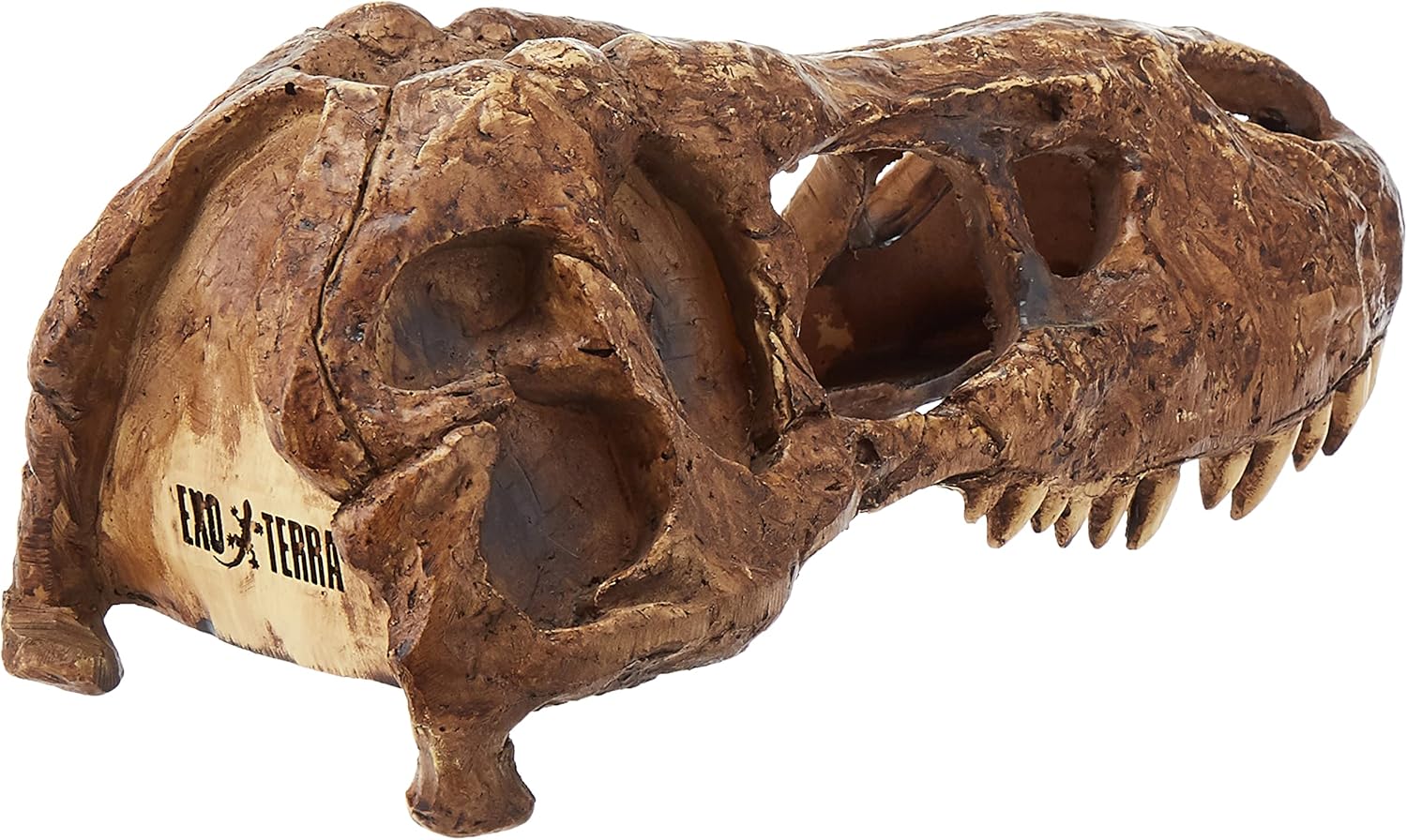 Exo Terra T-Rex Skull Terrarium Decor - Image 2
