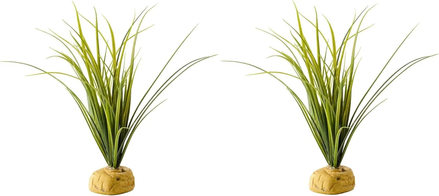 Exo Terra Turtle Grass Terrarium Plant - Image 2