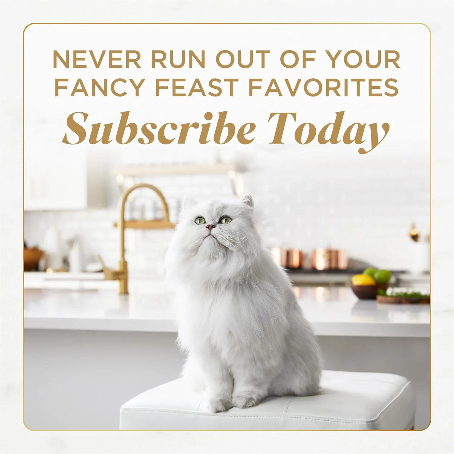 Fancy Feast Savory Centers Beef Pate Wet Cat Food – 24 Pack 3 oz Cans - Image 9