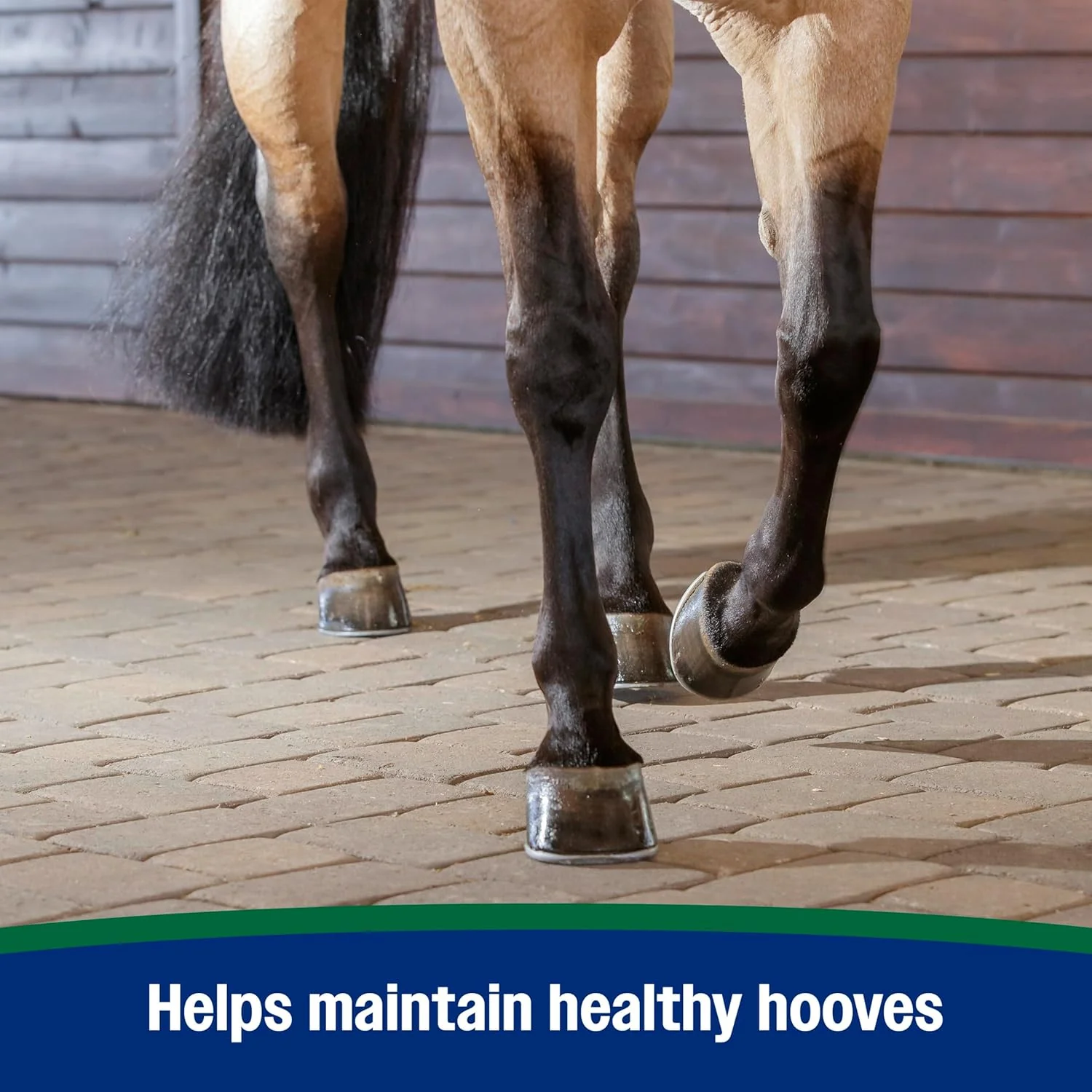 Farnam® Horseshoer’s Secret® - Image 5