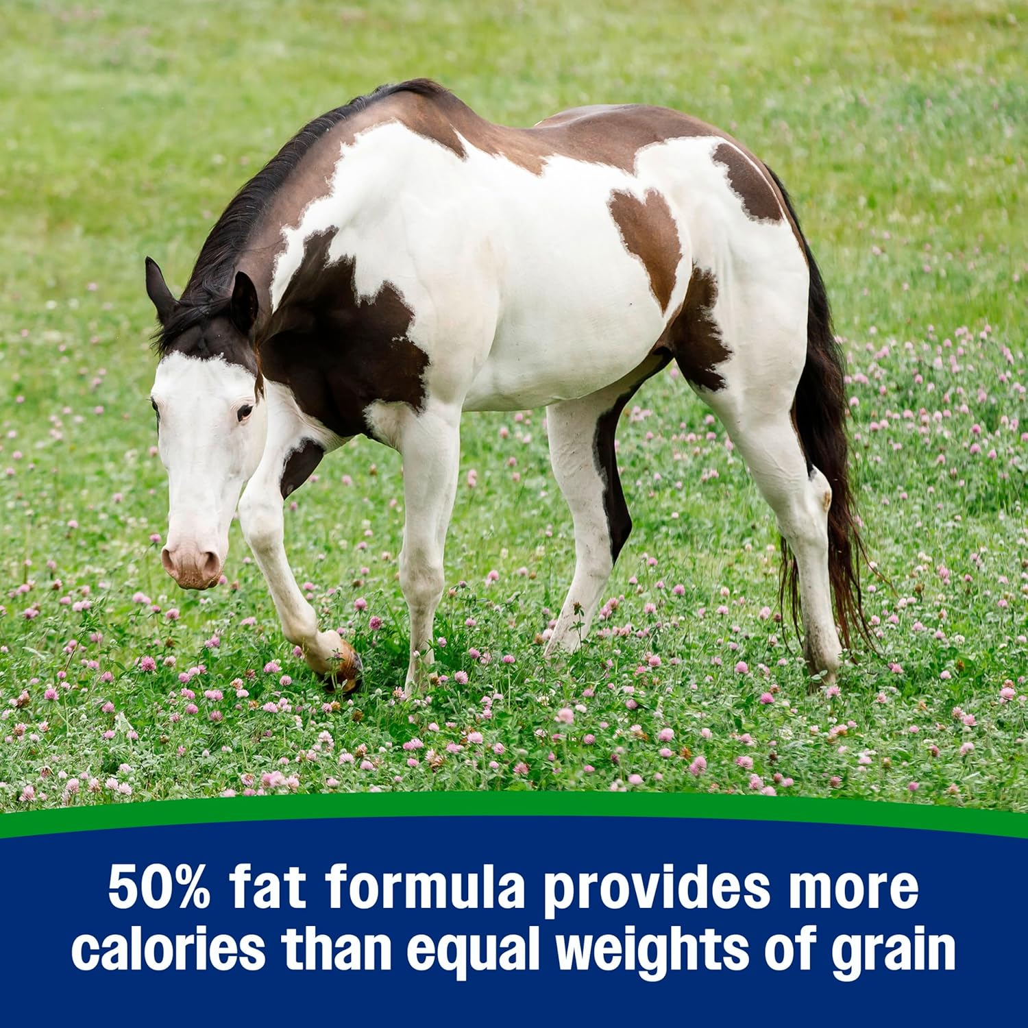Farnam® Weight Builder – 22.5 lbs (90-Day Supply) - Image 4