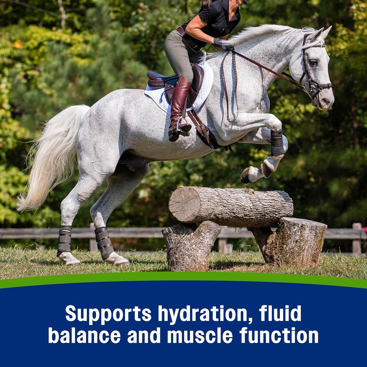 Farnam Apple Elite Horse Electrolyte Paste – 60 cc - Image 6