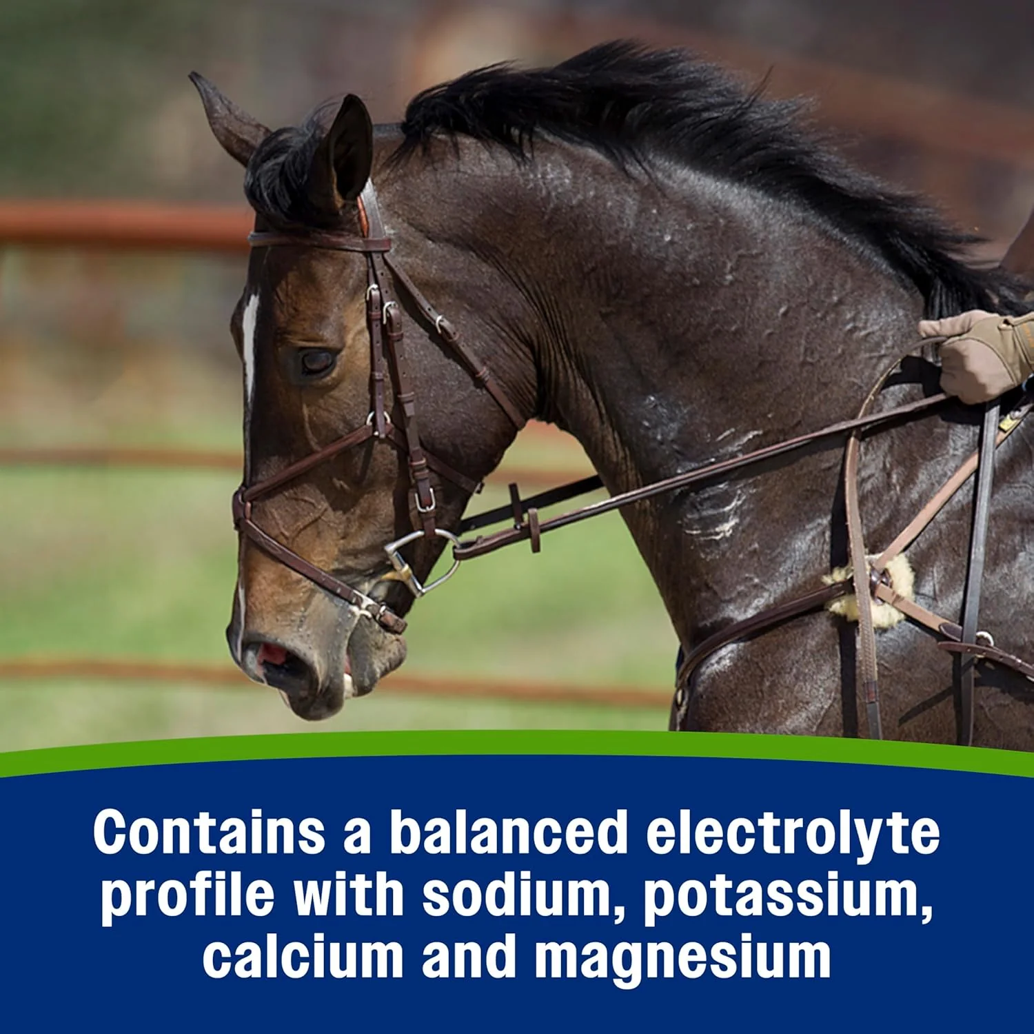 Farnam Apple Elite Horse Electrolyte Paste – 60 cc - Image 7