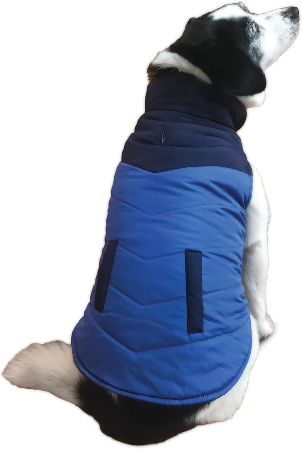 Fashion Pet Color Block Puffer Dog Coat Blue - Image 3