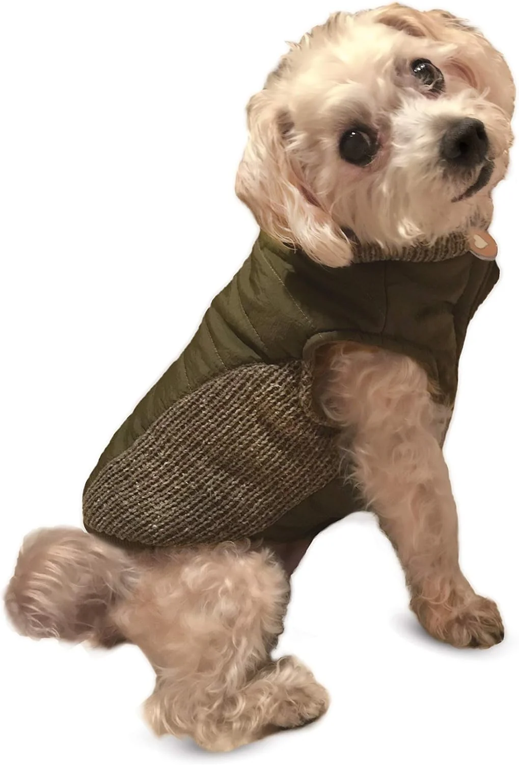Fashion Pet Sweater Trim Puffy Coat/Dog Coat/Olive - Image 3