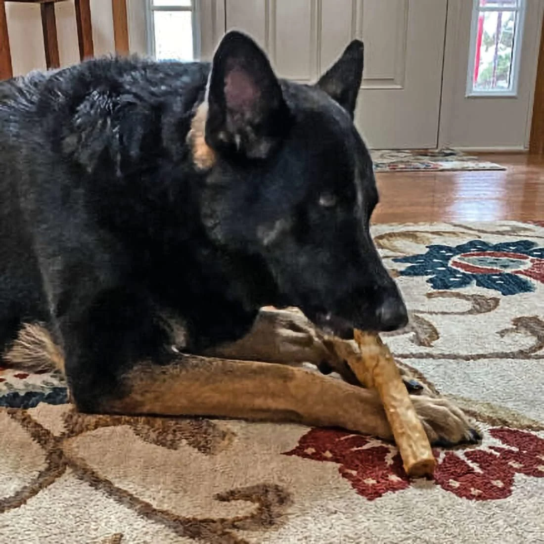 Fieldcrest Farms Nothin' to Hide 10" Large Roll Peanut Butter Flavored Dog Chew, 180 Gram, Count of 2 - Image 5