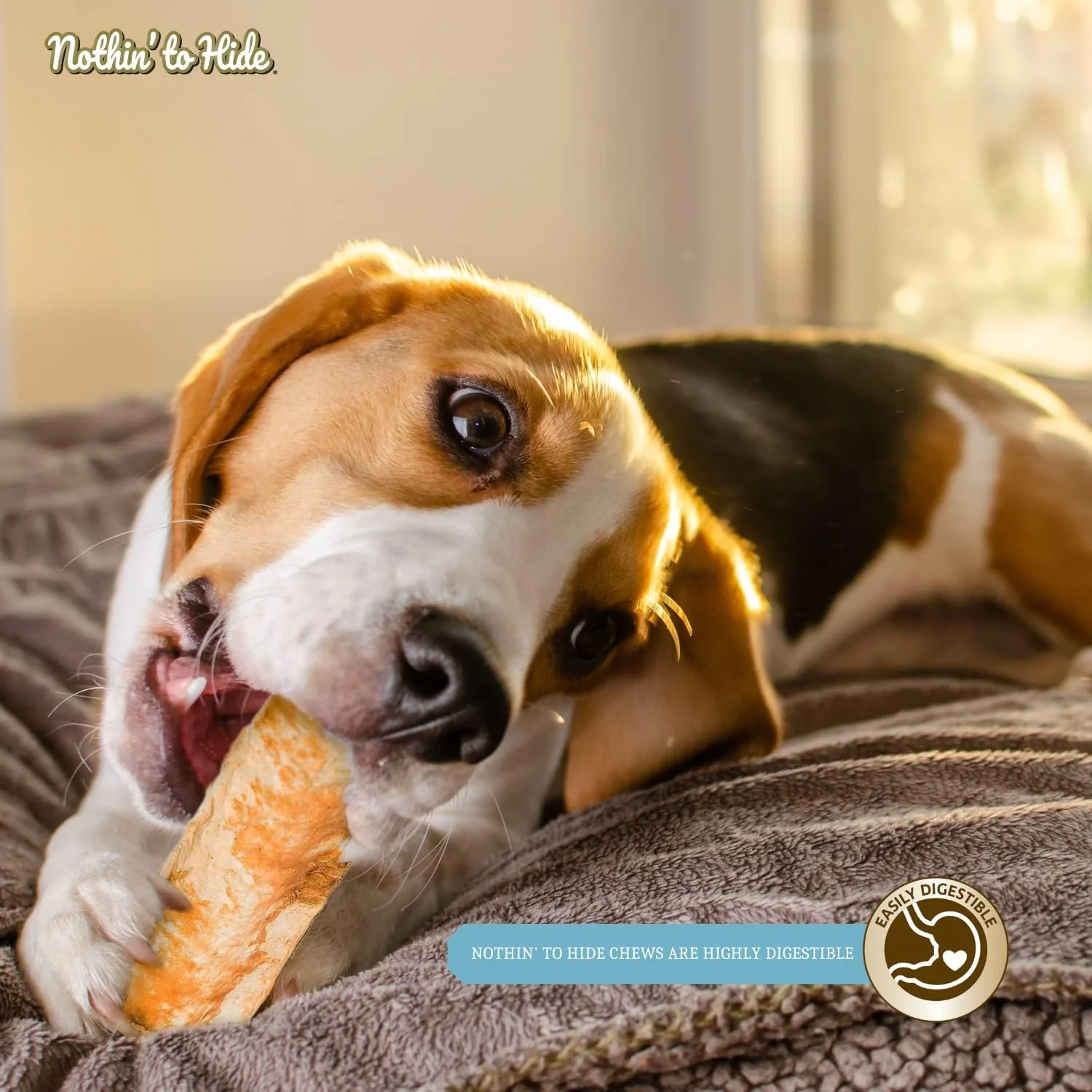 Fieldcrest Farms Nothin' To Hide Flip Chips Dog Treat Beef, 1ea/8.5 oz, 8 pk - Image 7