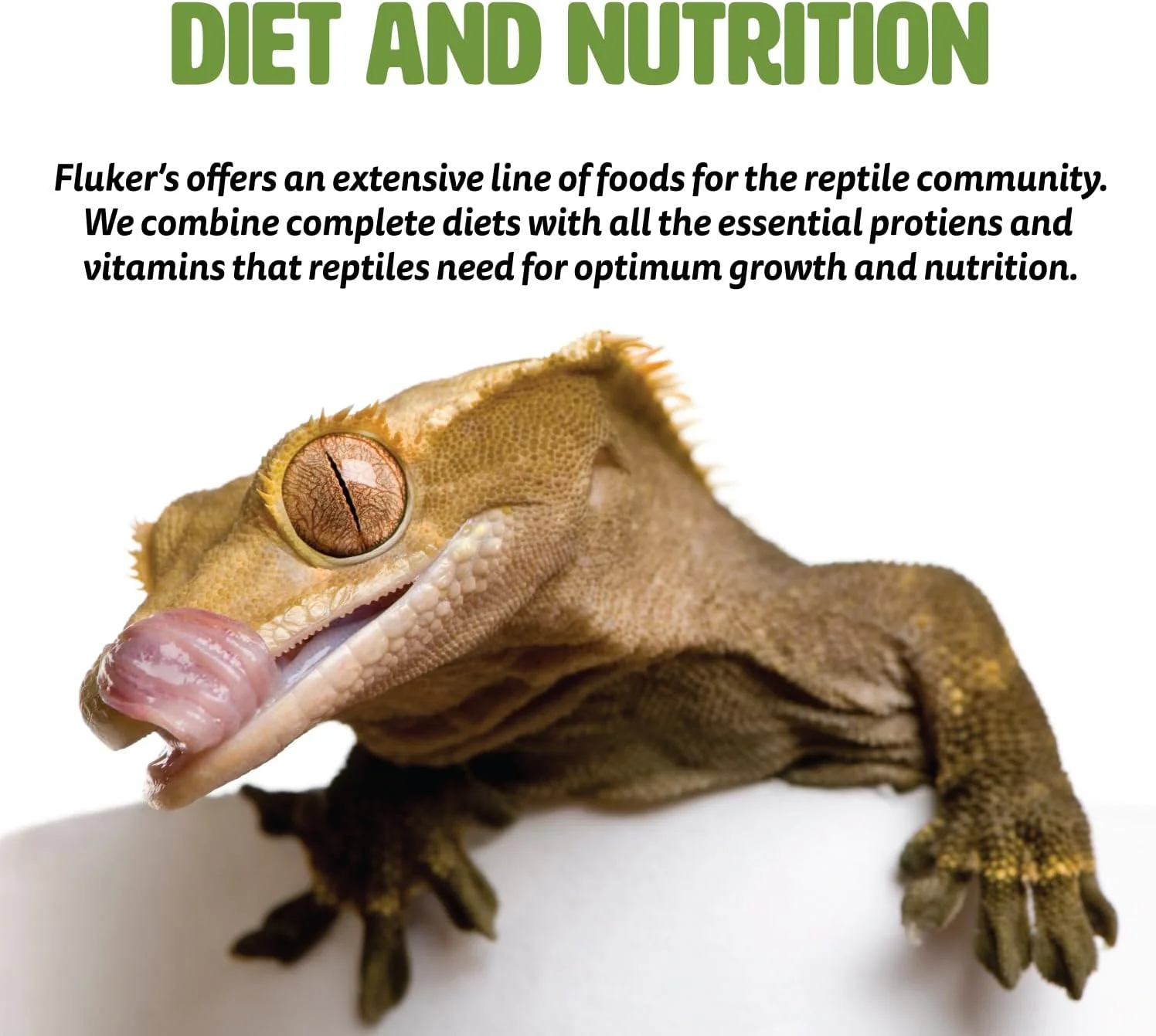 Fluker's Buffet Blend Diet - Food for Hermit Crabs 2.4 oz - Image 5