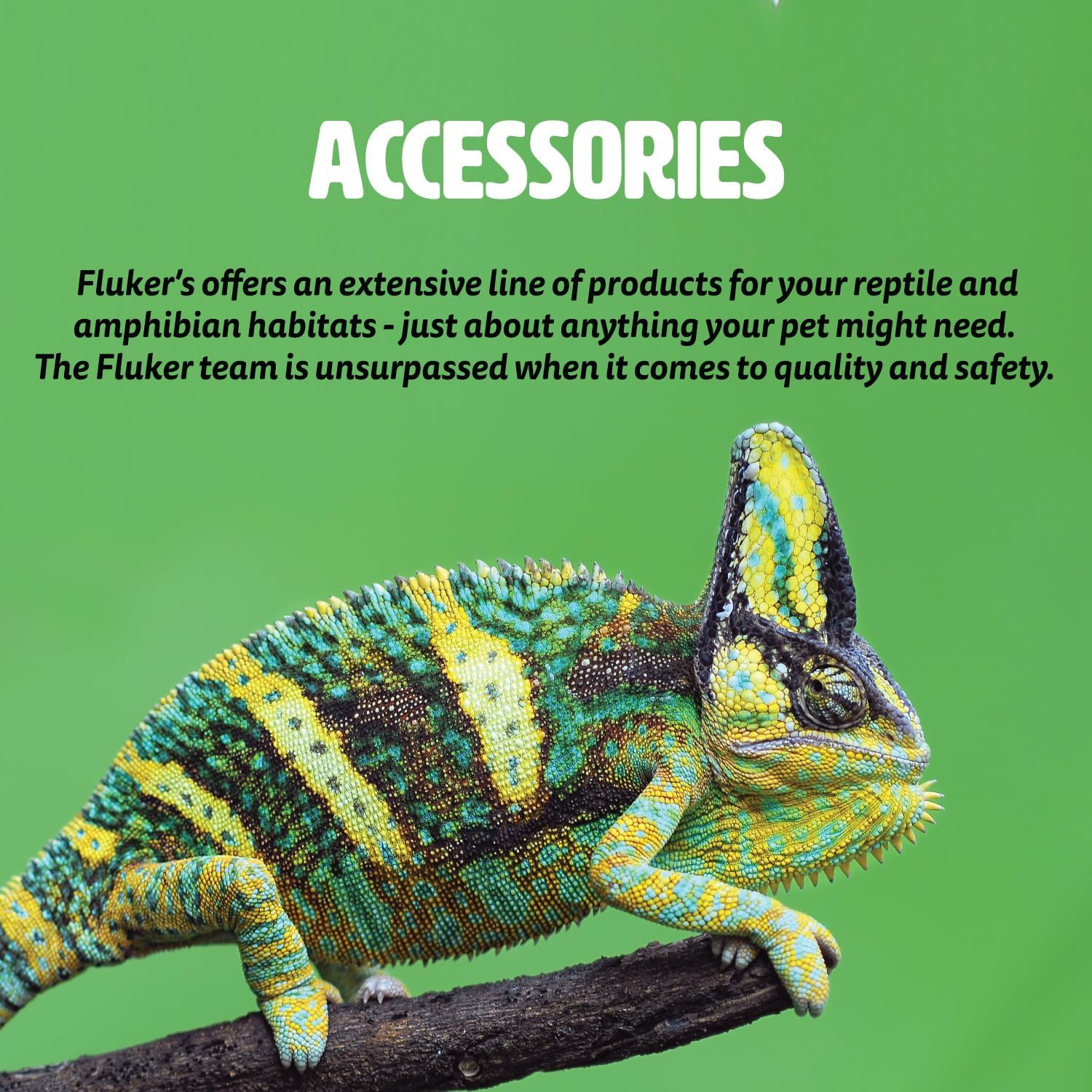 Fluker's Green Reptile Terrarium Moss - Image 2