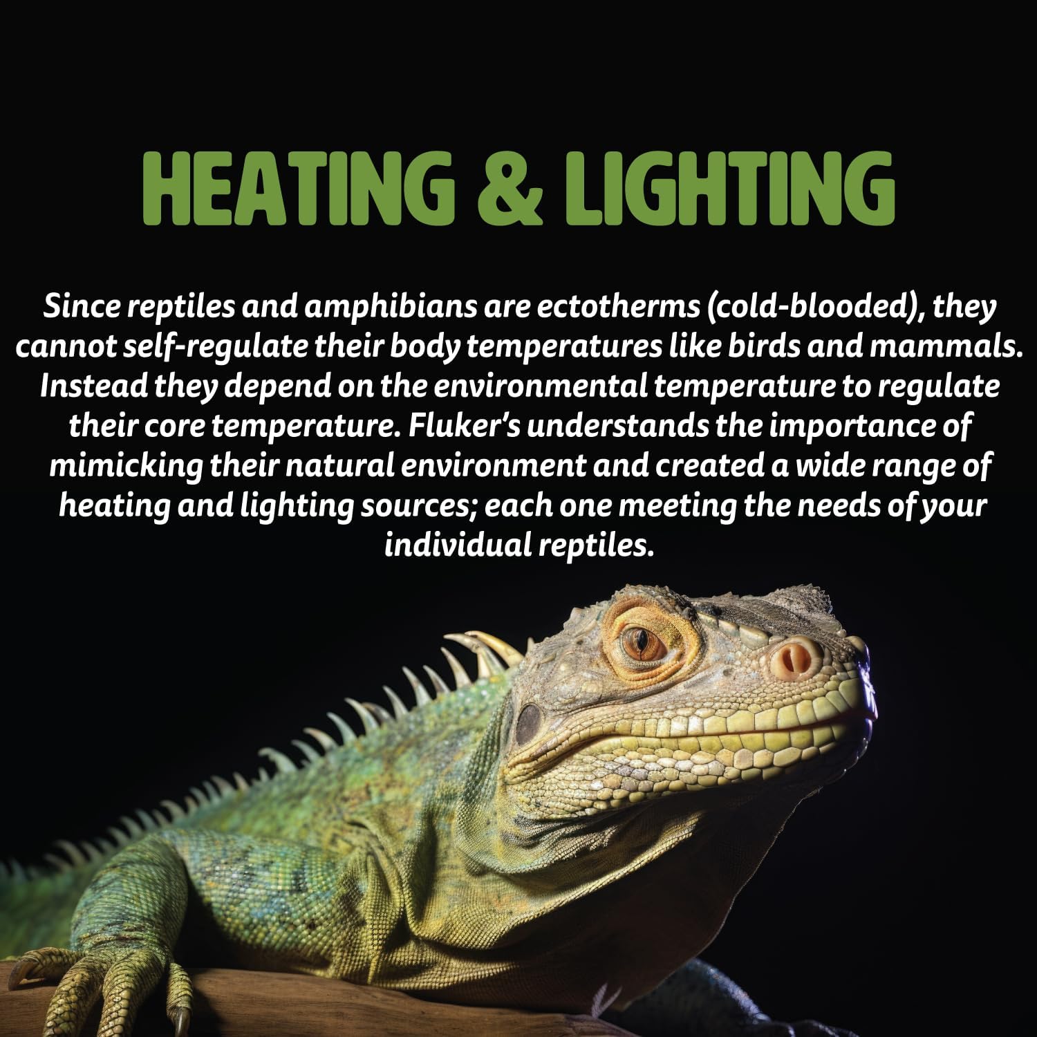 Fluker's Premium Heat Mat for All Reptiles and Amphibians - Image 4
