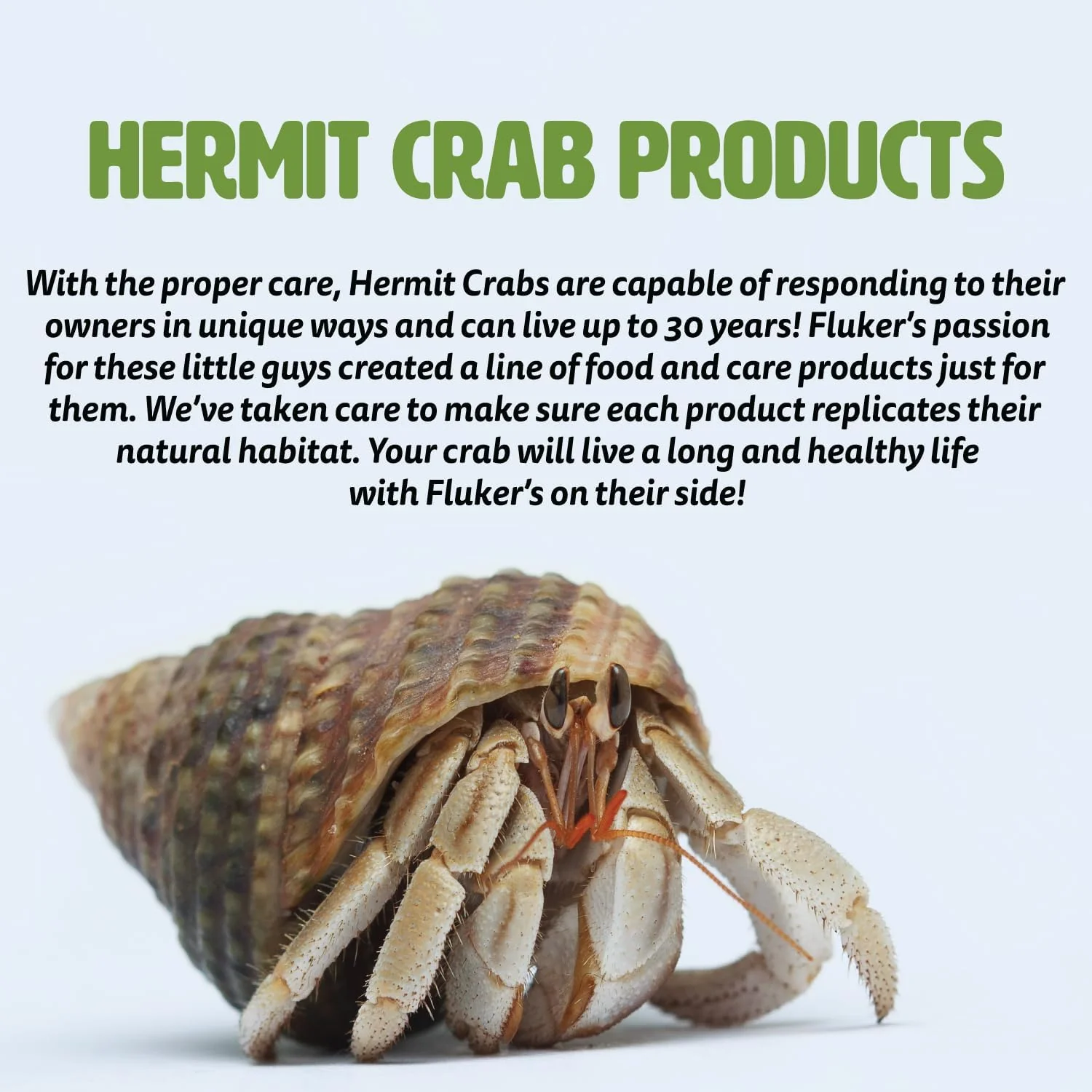 Fluker's Premium Pellet Diet, Food for Hermit Crabs, 3 oz - Image 4