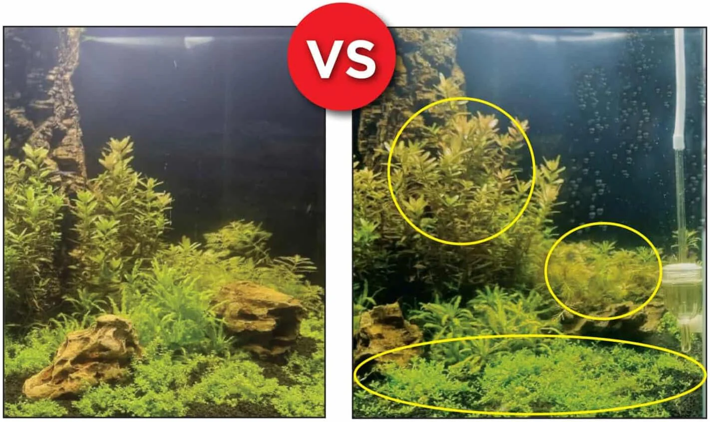 Fluval Bio-CO2 Pro - Image 9