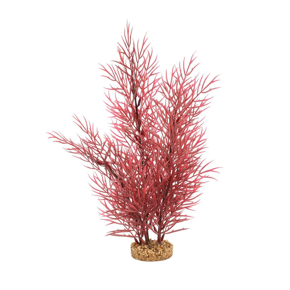 Fluval Scarlet Eichornea 14"