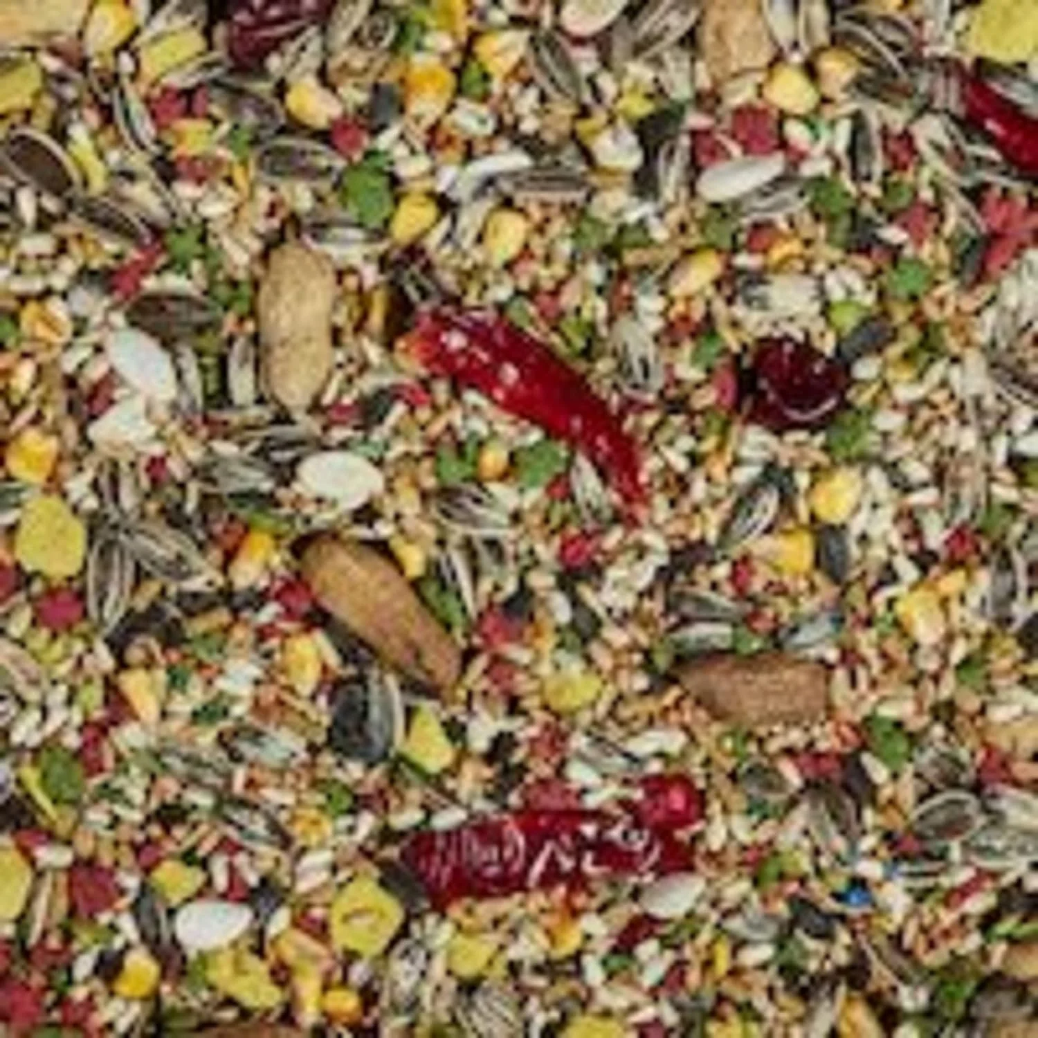 Forti-Diet Kaytee Forti Parrot Treat, 5 Lb - Image 4