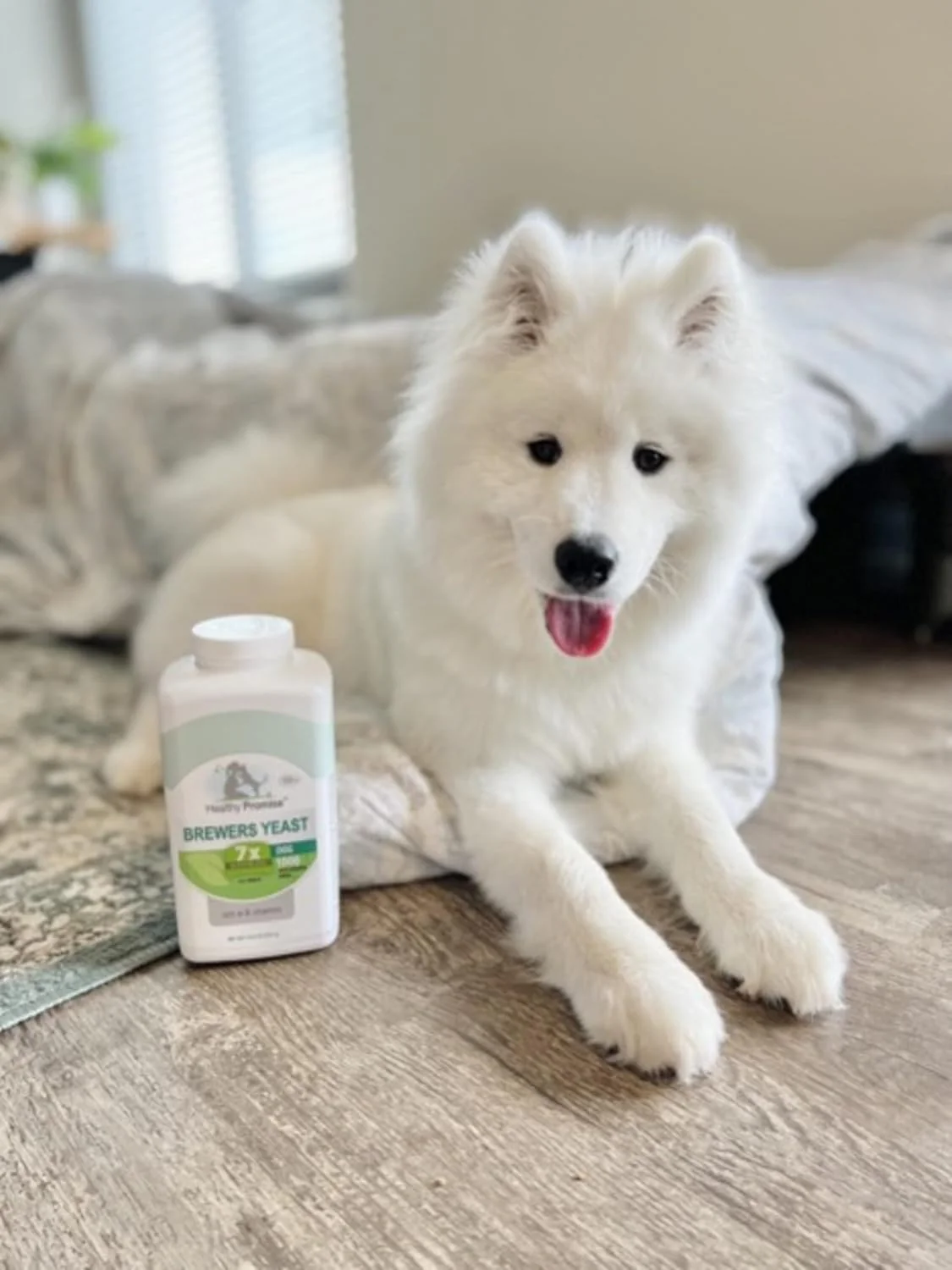Four Paws Healthy Promise Brewers Yeast for Dogs Immunity - Image 2