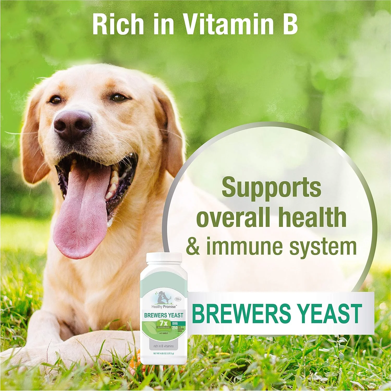 Four Paws Healthy Promise Brewers Yeast for Dogs Immunity - Image 4