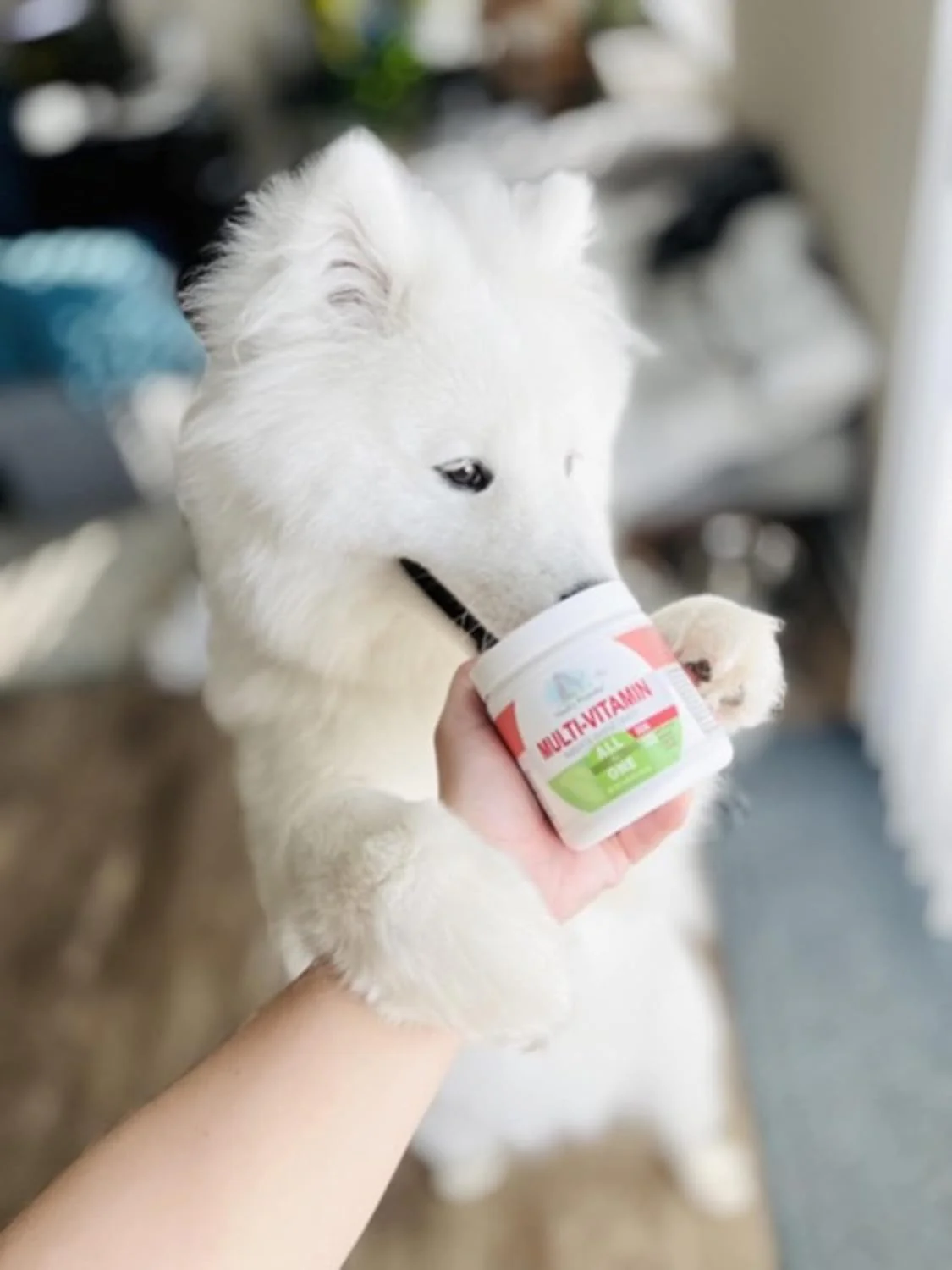 Four Paws Healthy Promise Dog Multivitamin Soft Chews - Image 2