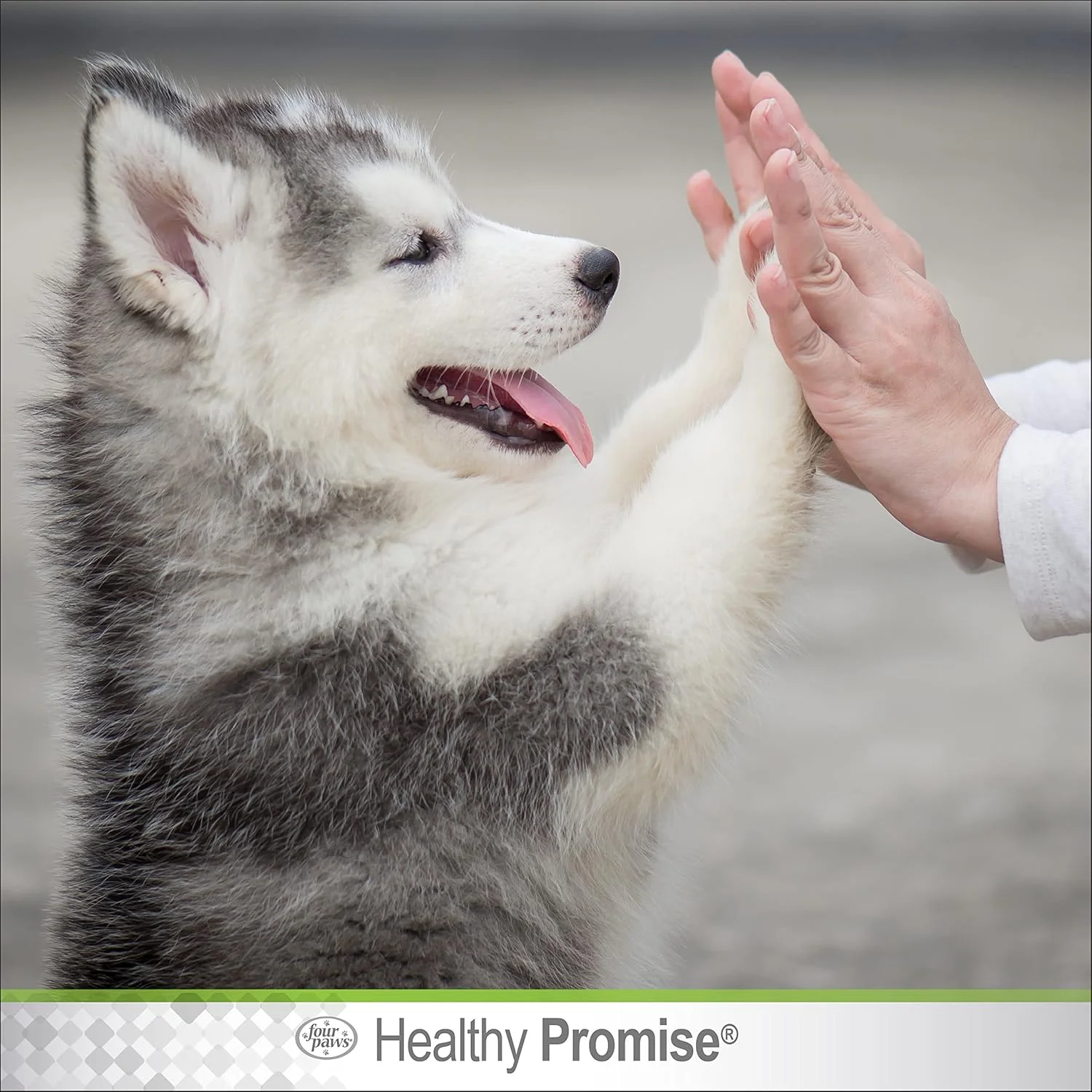 Four Paws Healthy Promise Pet Paw Guard, Balm Protection for Dog Paws - Image 6