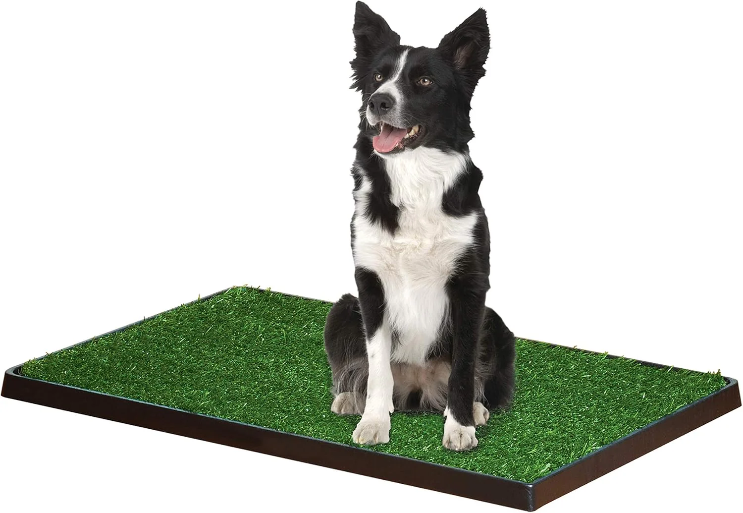 Four Paws Wee-Wee Premium Patch Indoor and Outdoor Pet Potty for Dogs l Dog Potty Training l Artificial Grass l Wee-Wee Patch - Image 2