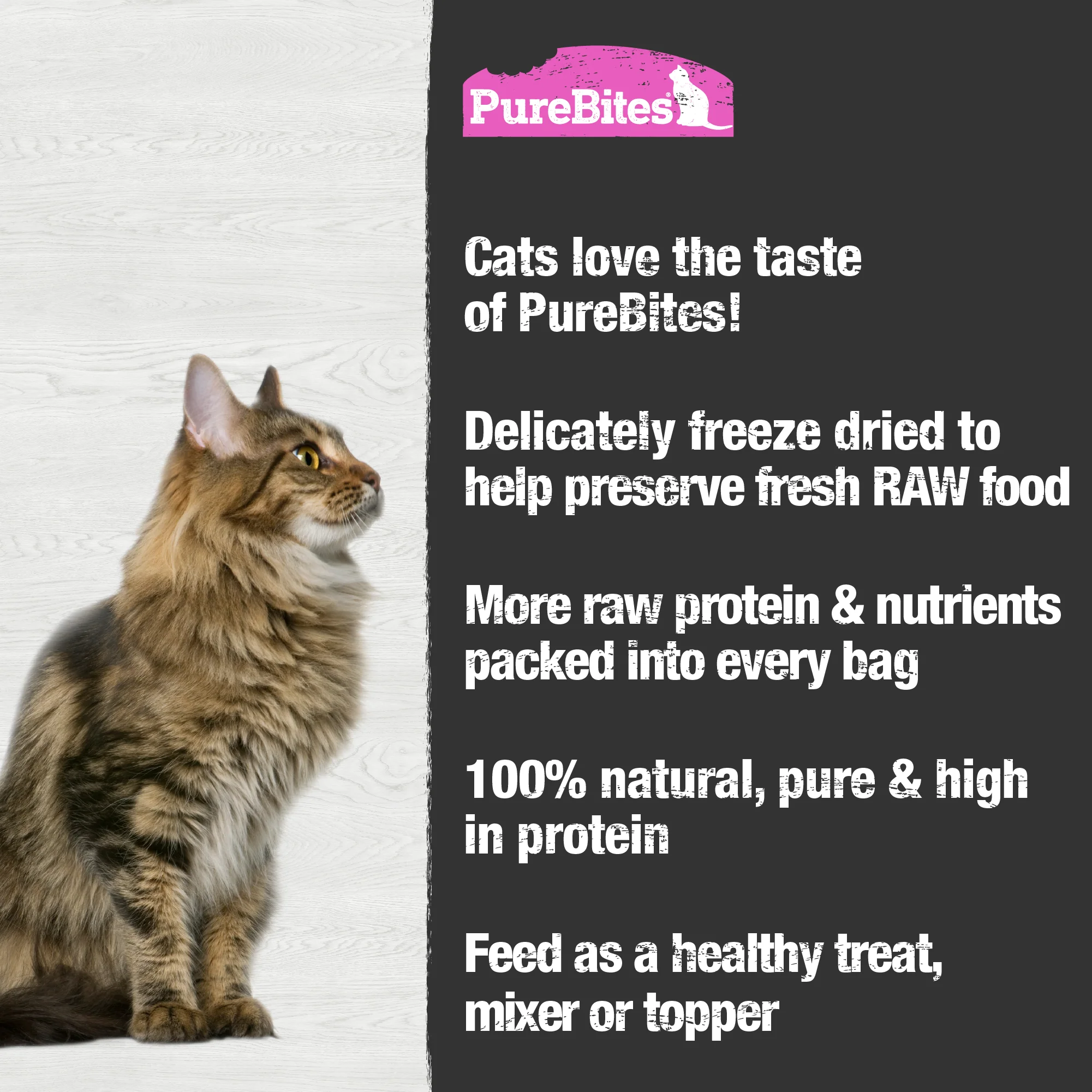 Freeze Dried Cat Treats, Salmon - Image 5