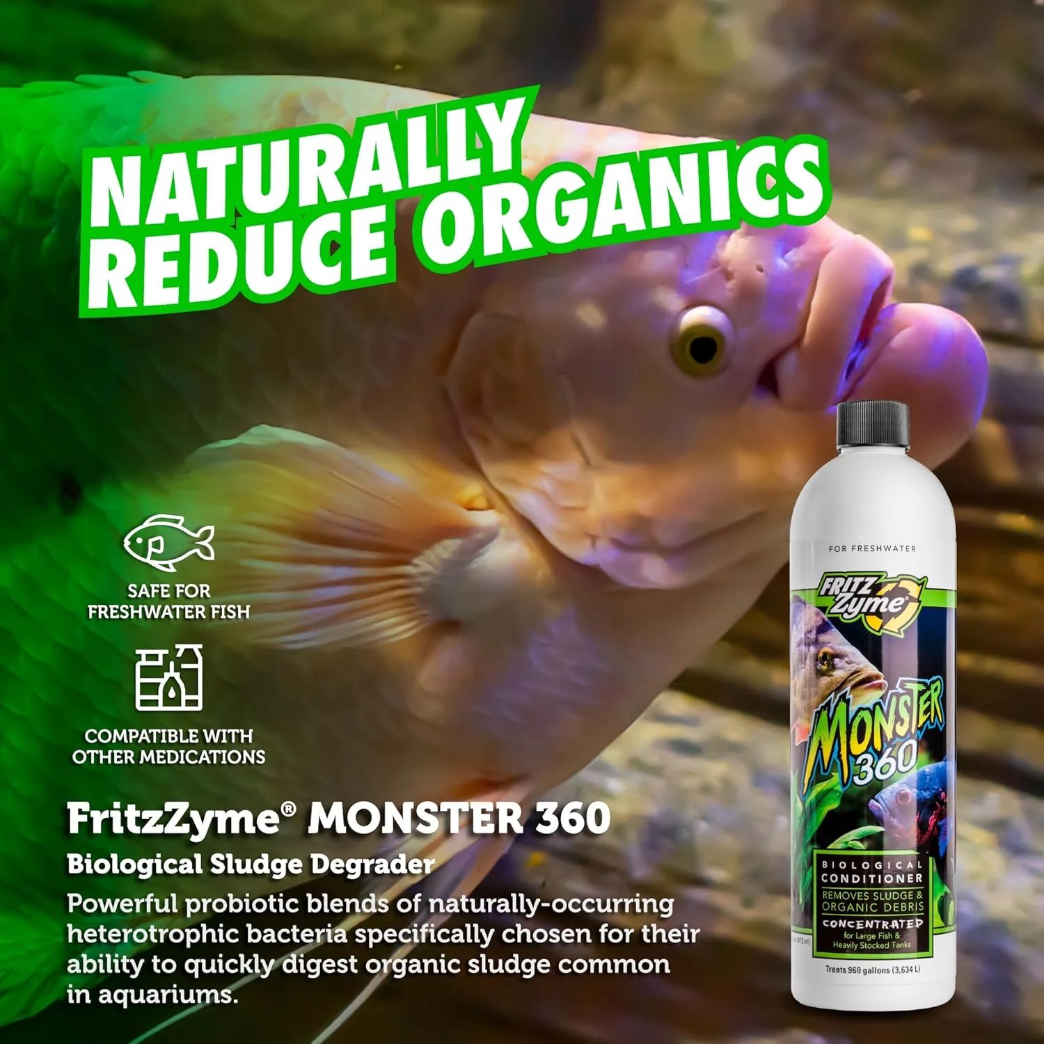 Fritz Aquatics 75016 FritzZyme Monster 360 Concentrated Biological Conditioner for Fresh Water Aquariums, 16-Ounce - Image 2