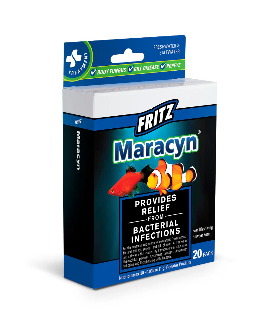 Fritz Maracyn Two