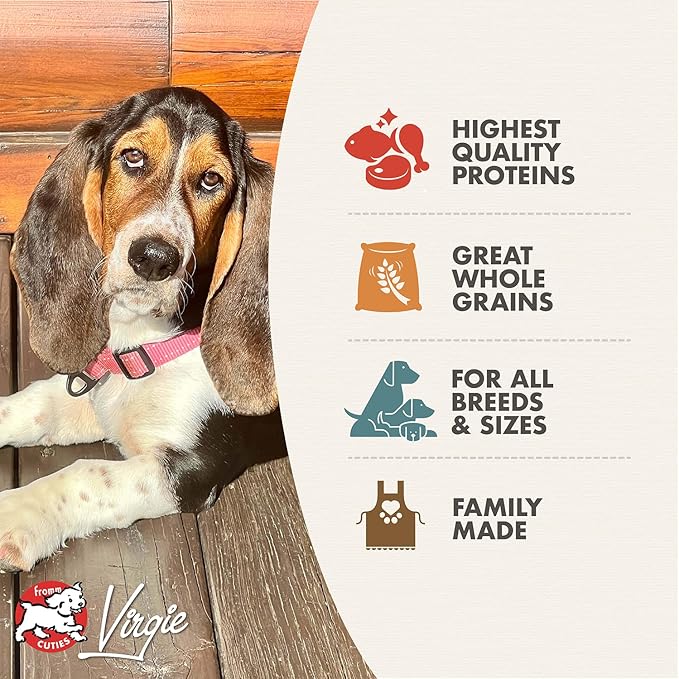 Fromm Adult Gold Premium Dry Dog Food - Chicken Recipe - Image 4