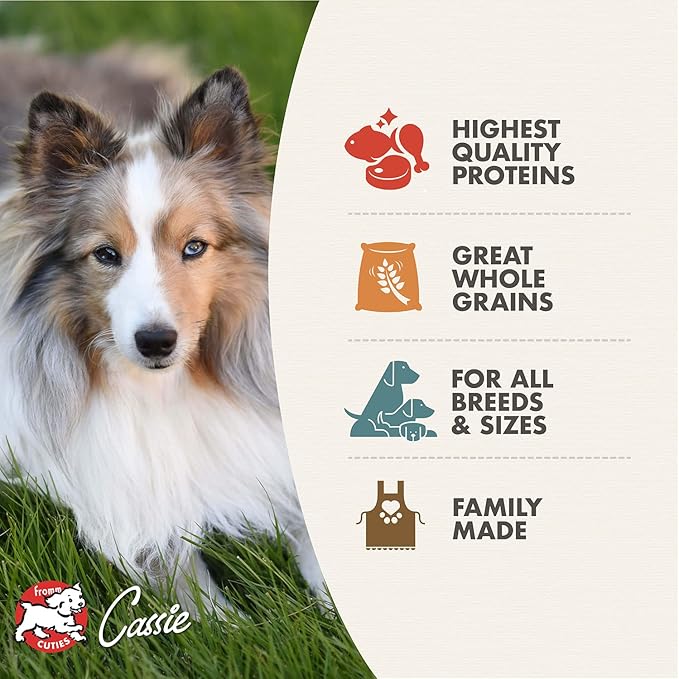 Fromm Adult Gold with Ancient Grains Dry Dog Food - Image 2