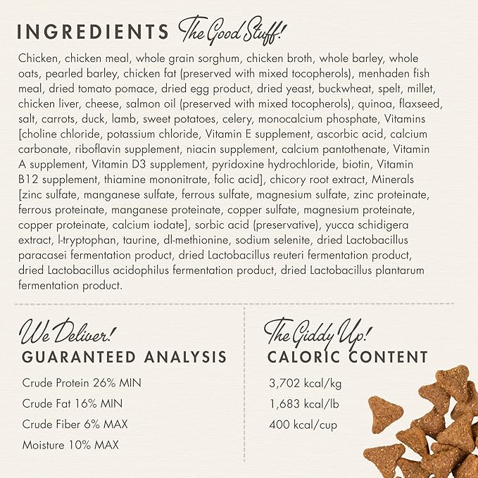 Fromm Adult Gold with Ancient Grains Dry Dog Food - Image 3