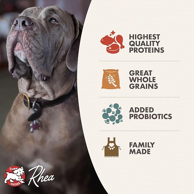 Fromm Classic Adult Large & Giant Breed Dog Food - Premium Dry Dog Food for Large & Giant Breeds - Chicken Recipe - Image 4